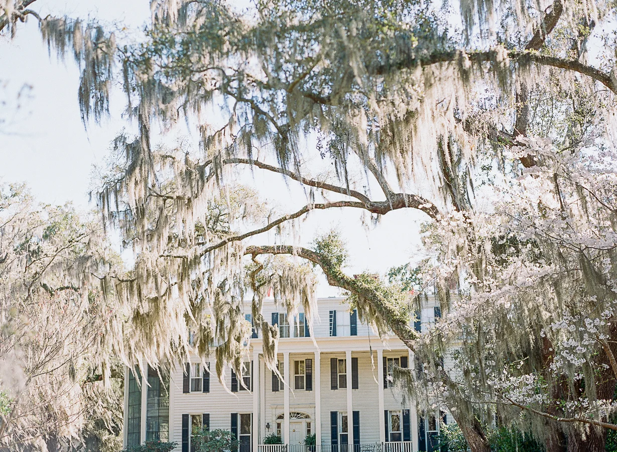 Savannah_JenniferBlairPhotography-10153.jpg