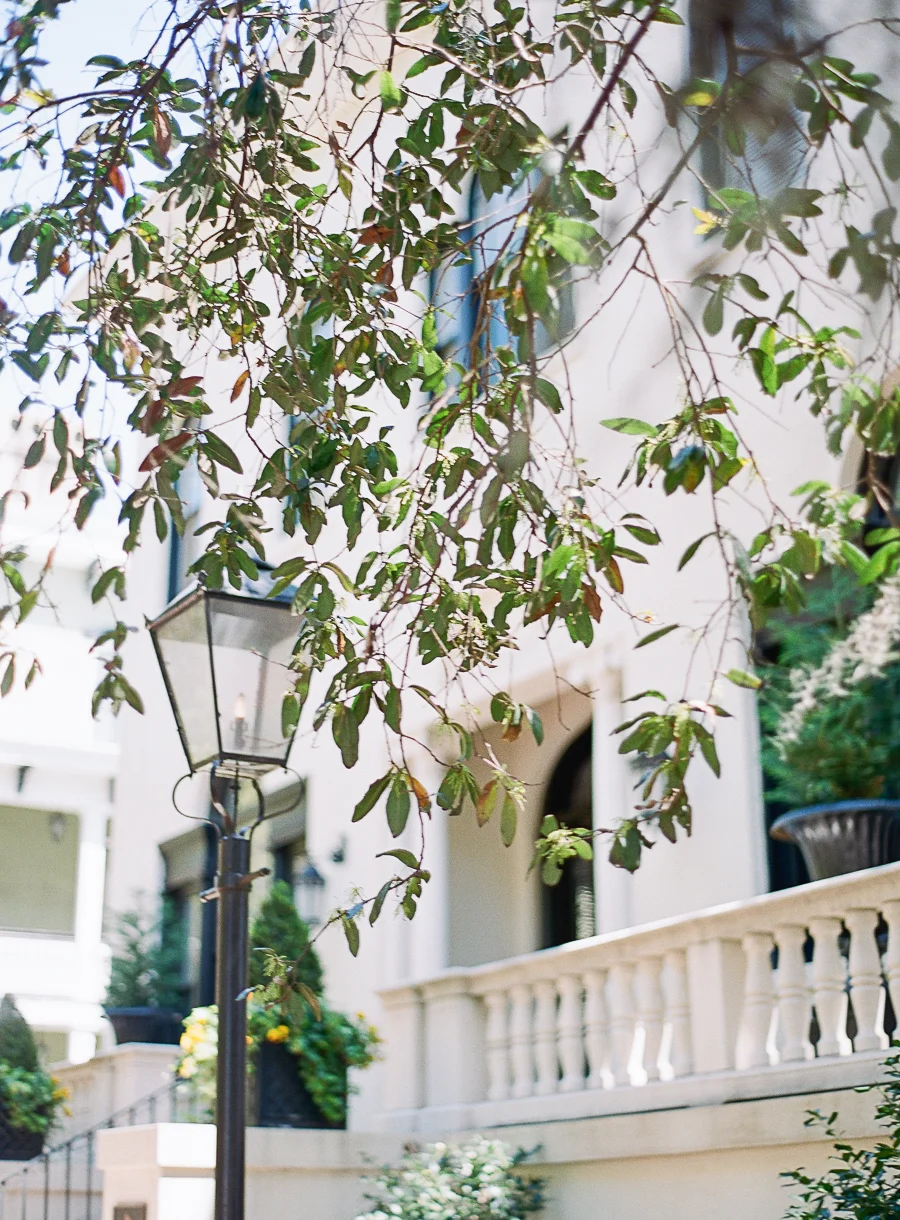 Savannah_JenniferBlairPhotography-10203.jpg