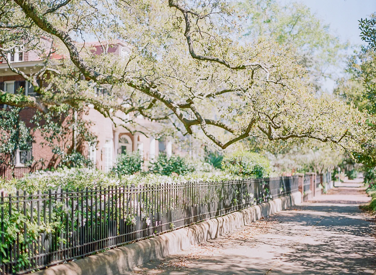 Savannah_JenniferBlairPhotography-10563.jpg