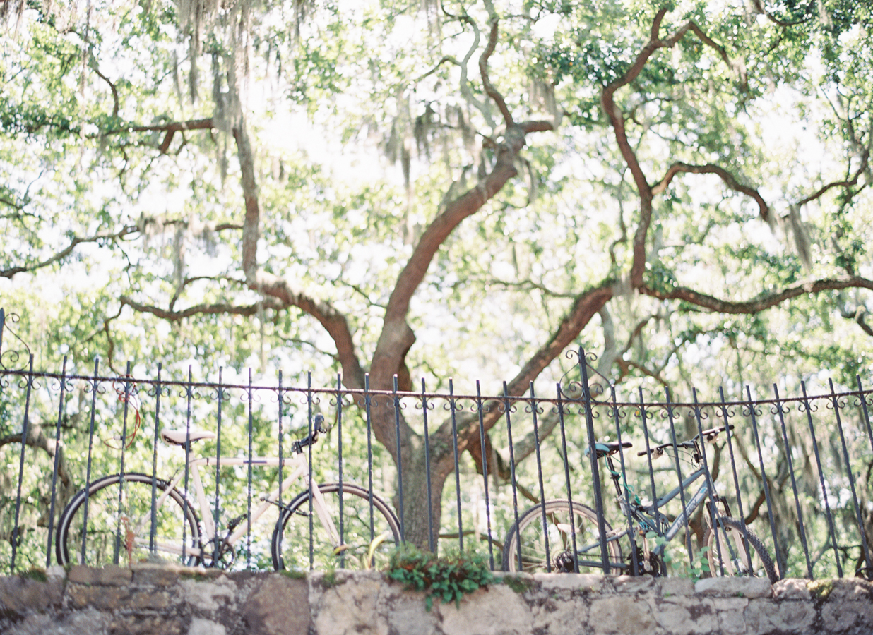 5yearSavannahTrip-1034.jpg