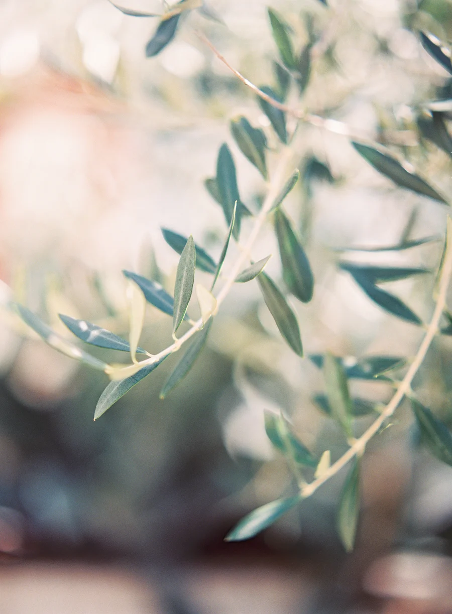 BethanyH_JenniferBlairPhotography-1018.jpg