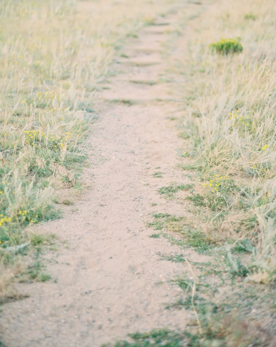 JenniferBlairPhotography_Colorado-10971.jpg