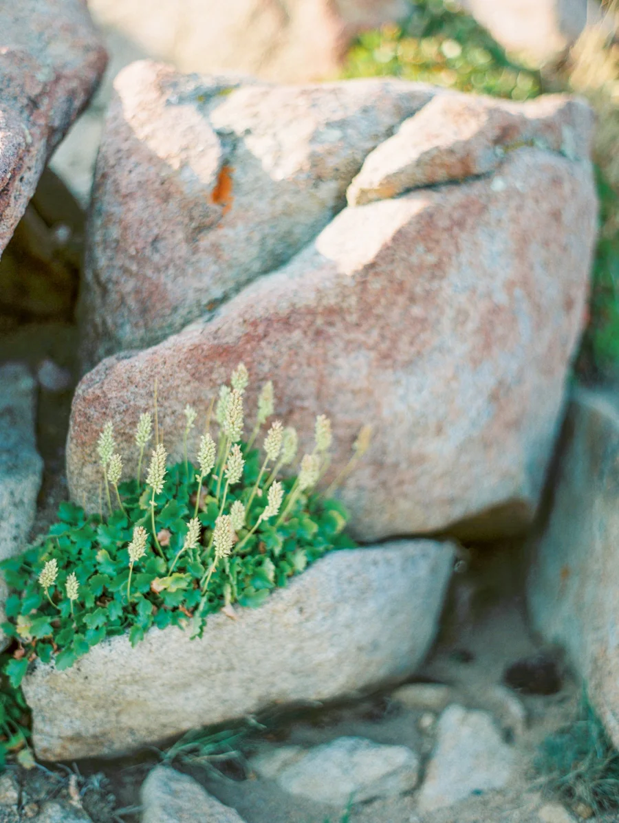JenniferBlairPhotography_Colorado-11171.jpg
