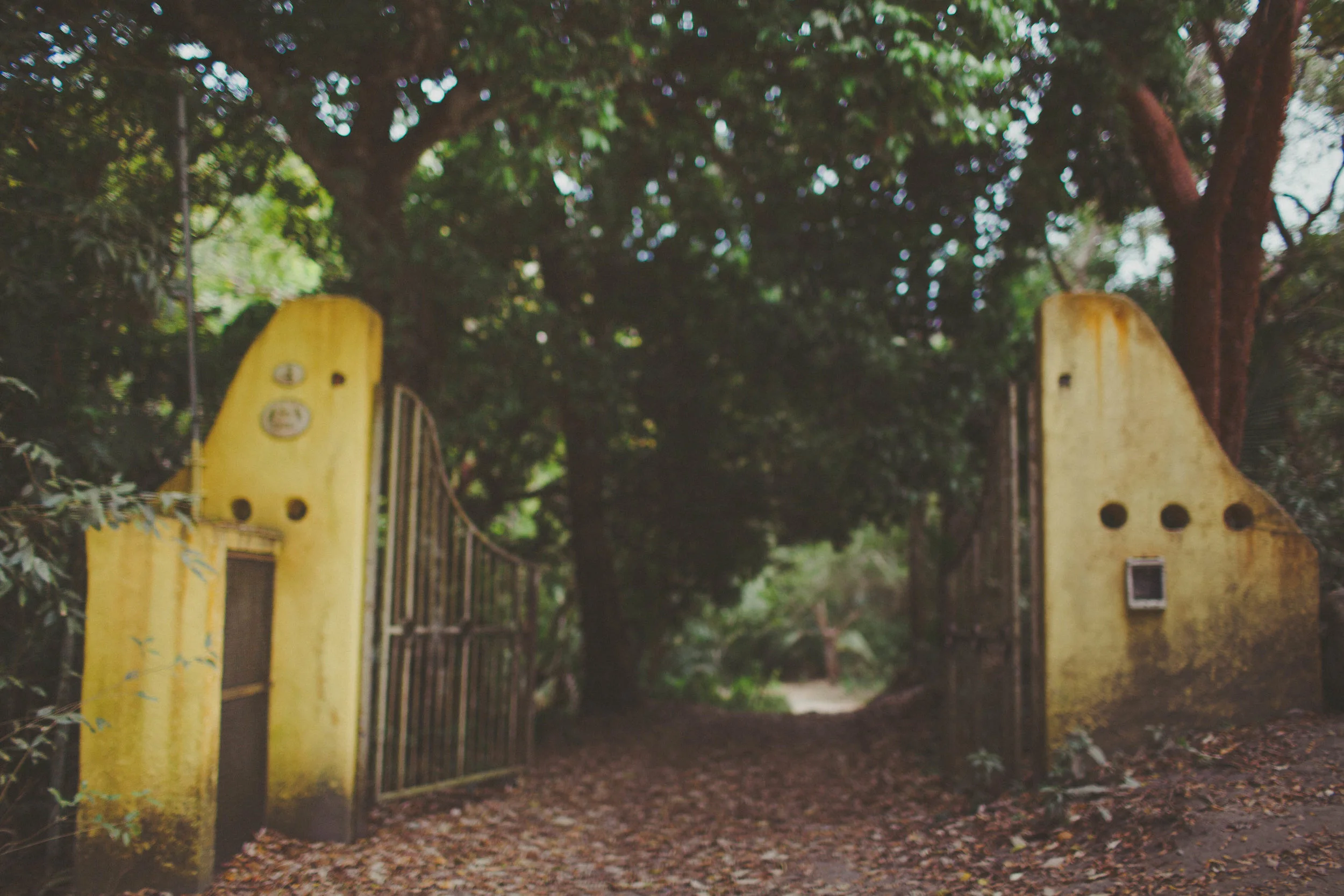 Sayulita_AG-45.jpg