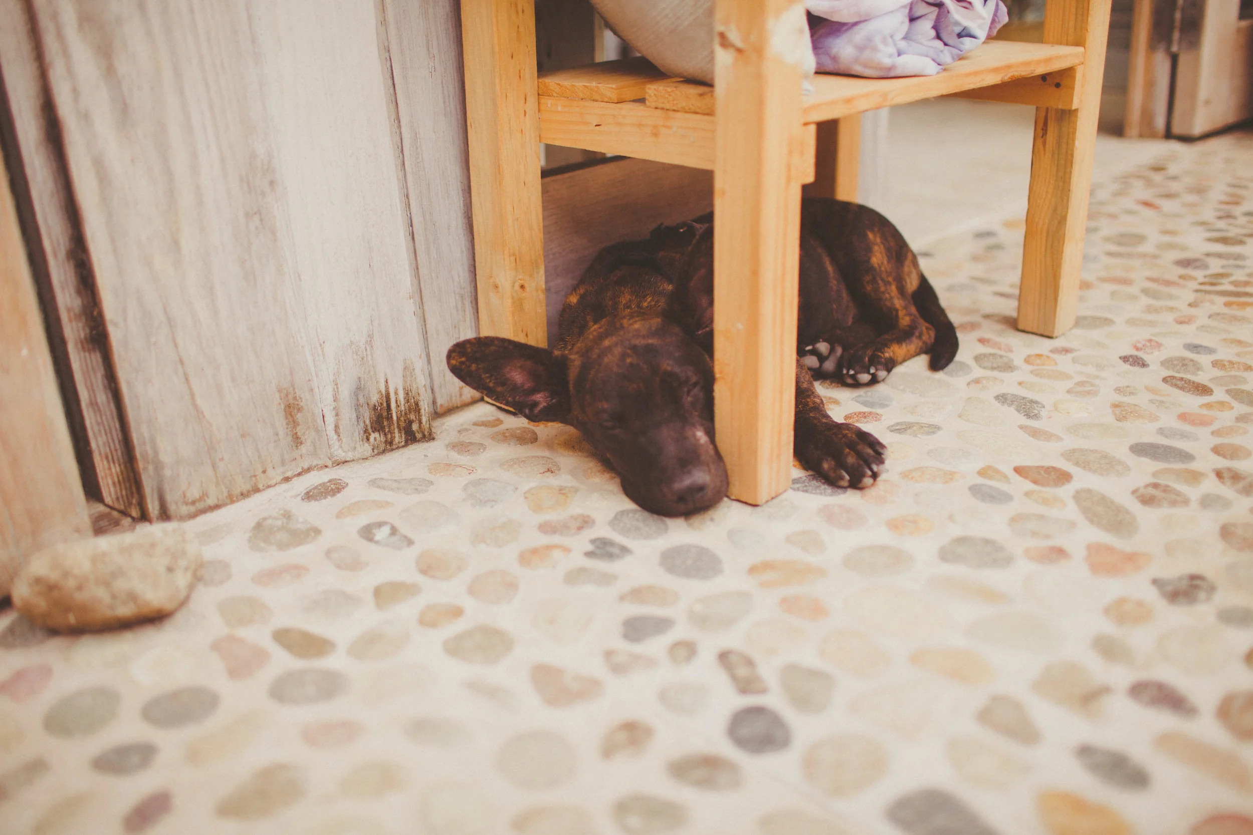Sayulita_AG-90.jpg