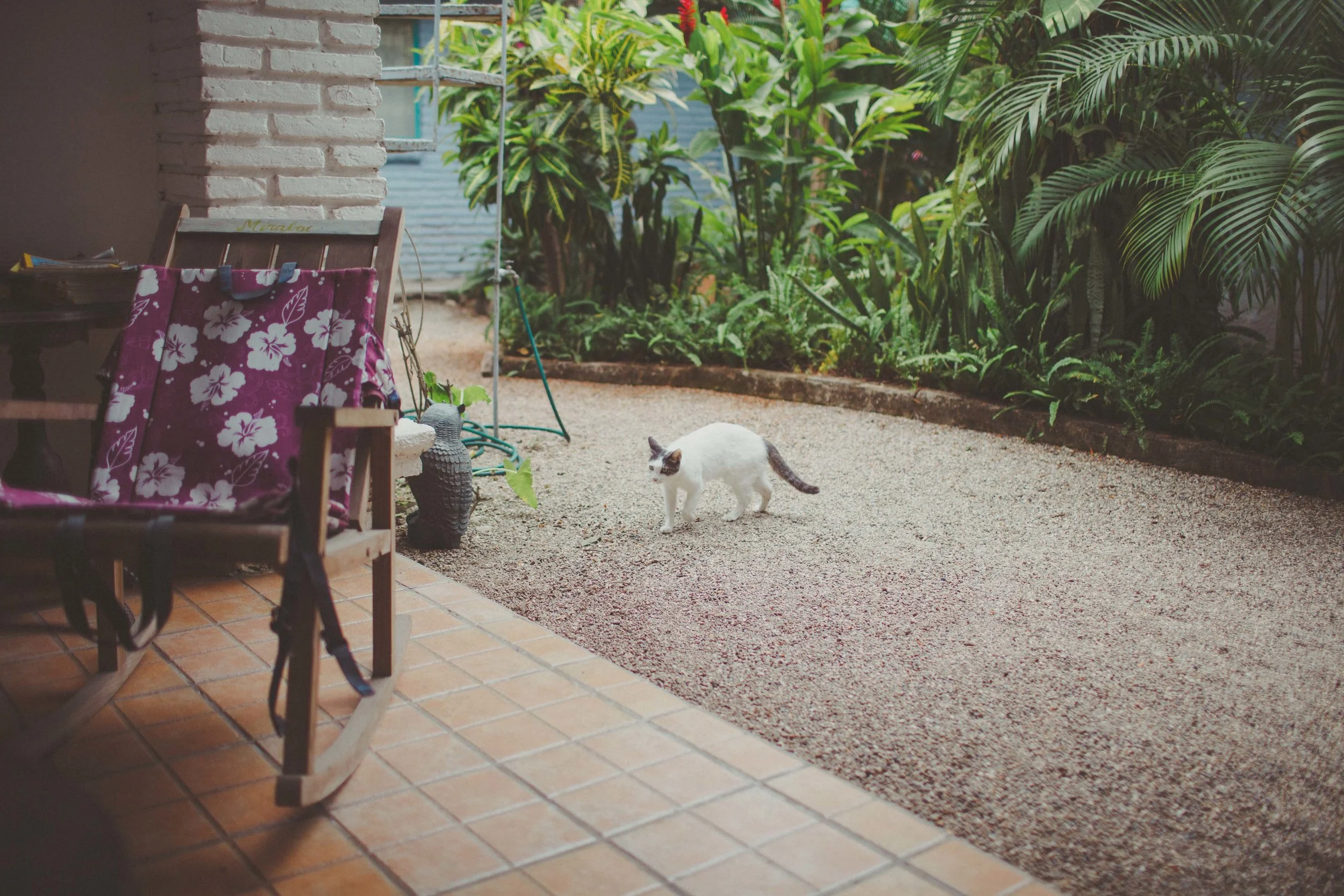 Sayulita_AG-175.jpg