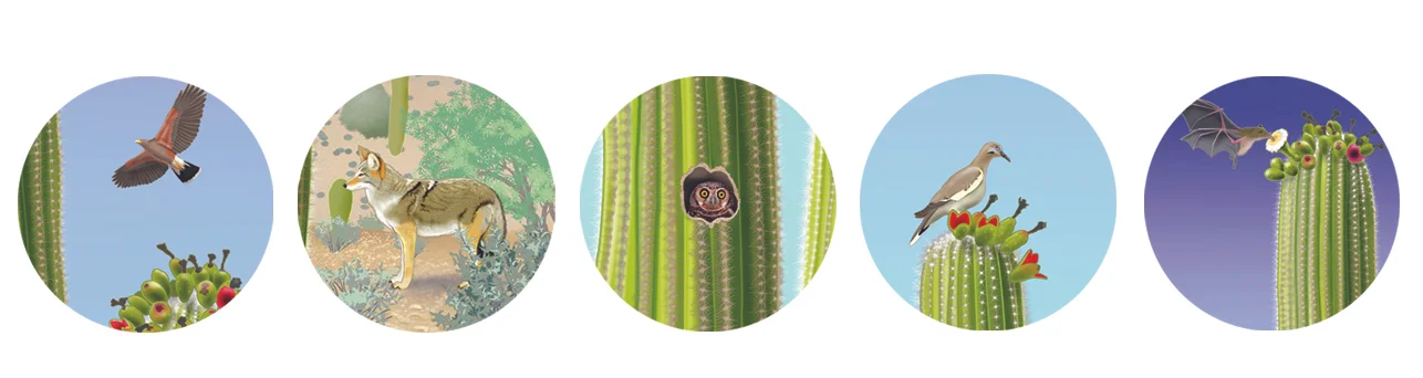 circles-2.jpg