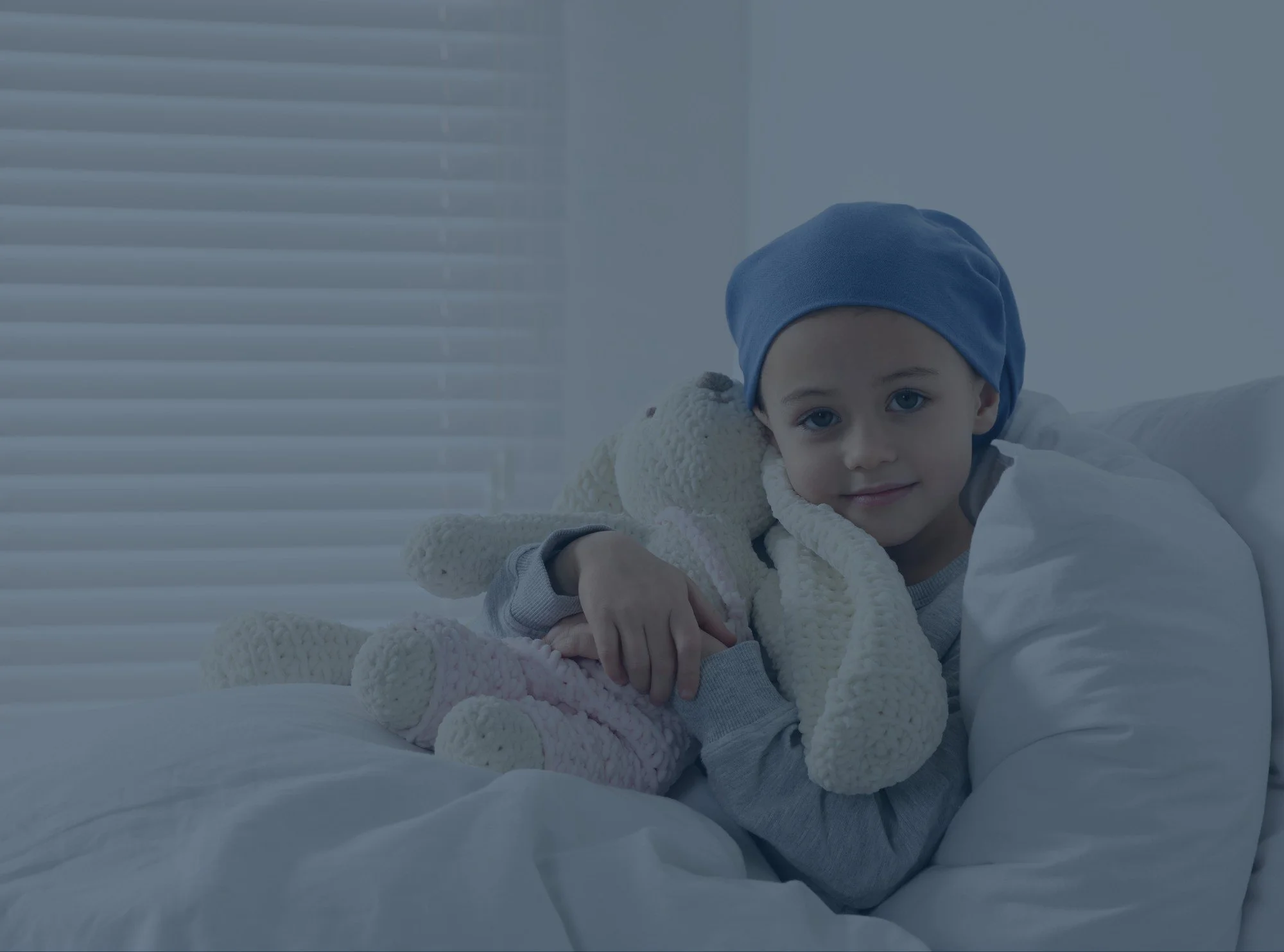 A country based, family centred support organisation for