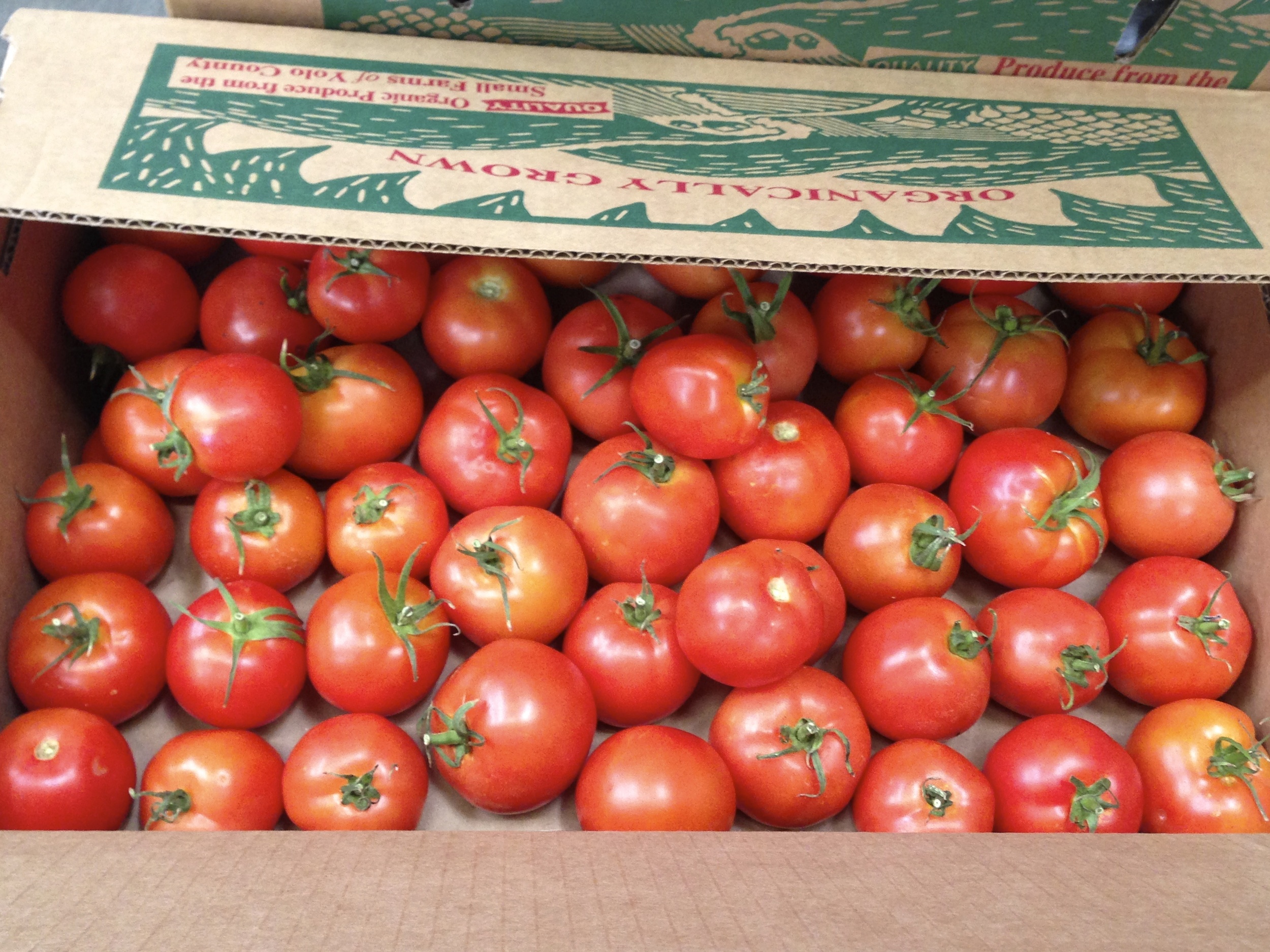 Summer tomatoes!