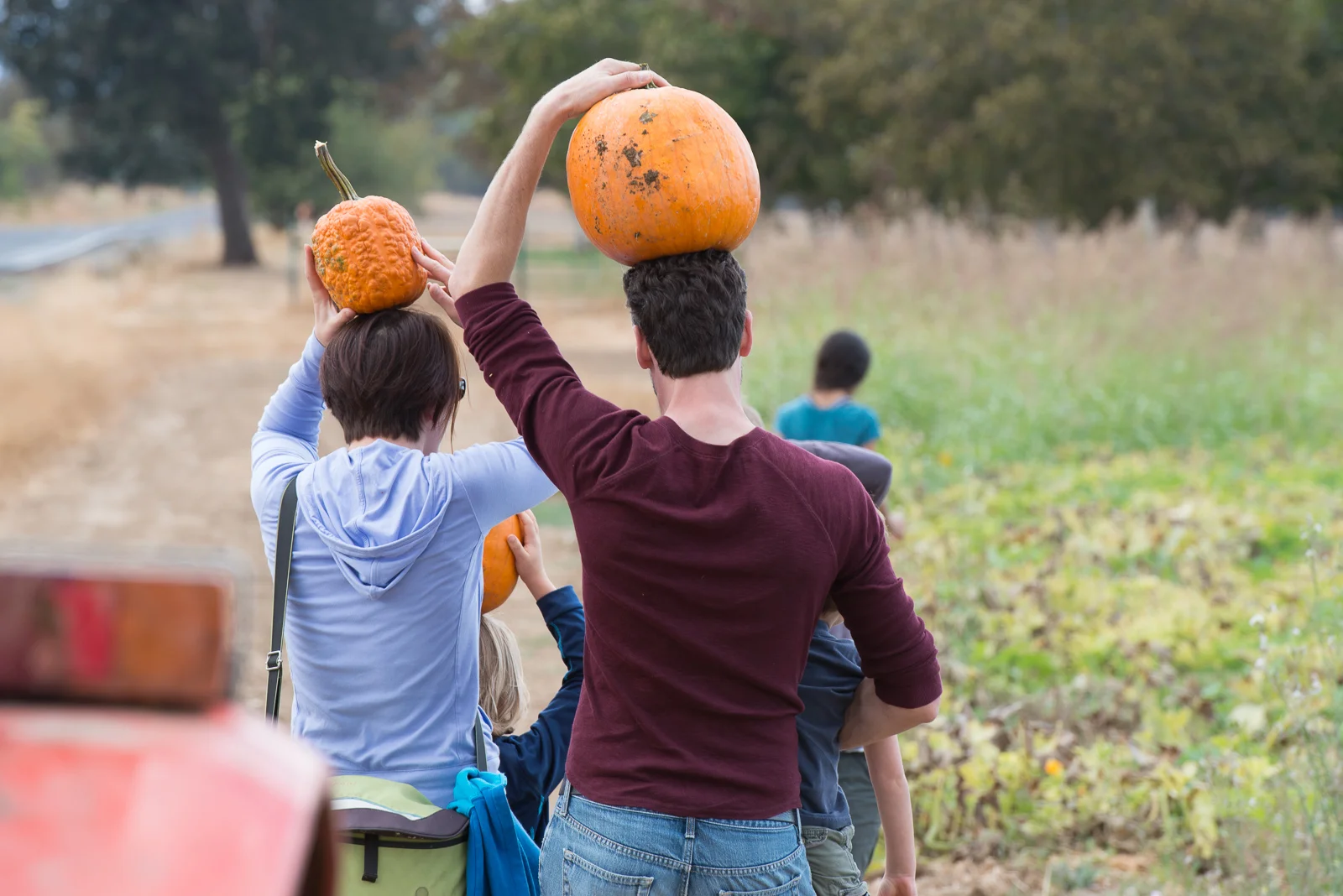 CSA — Riverdog Farm