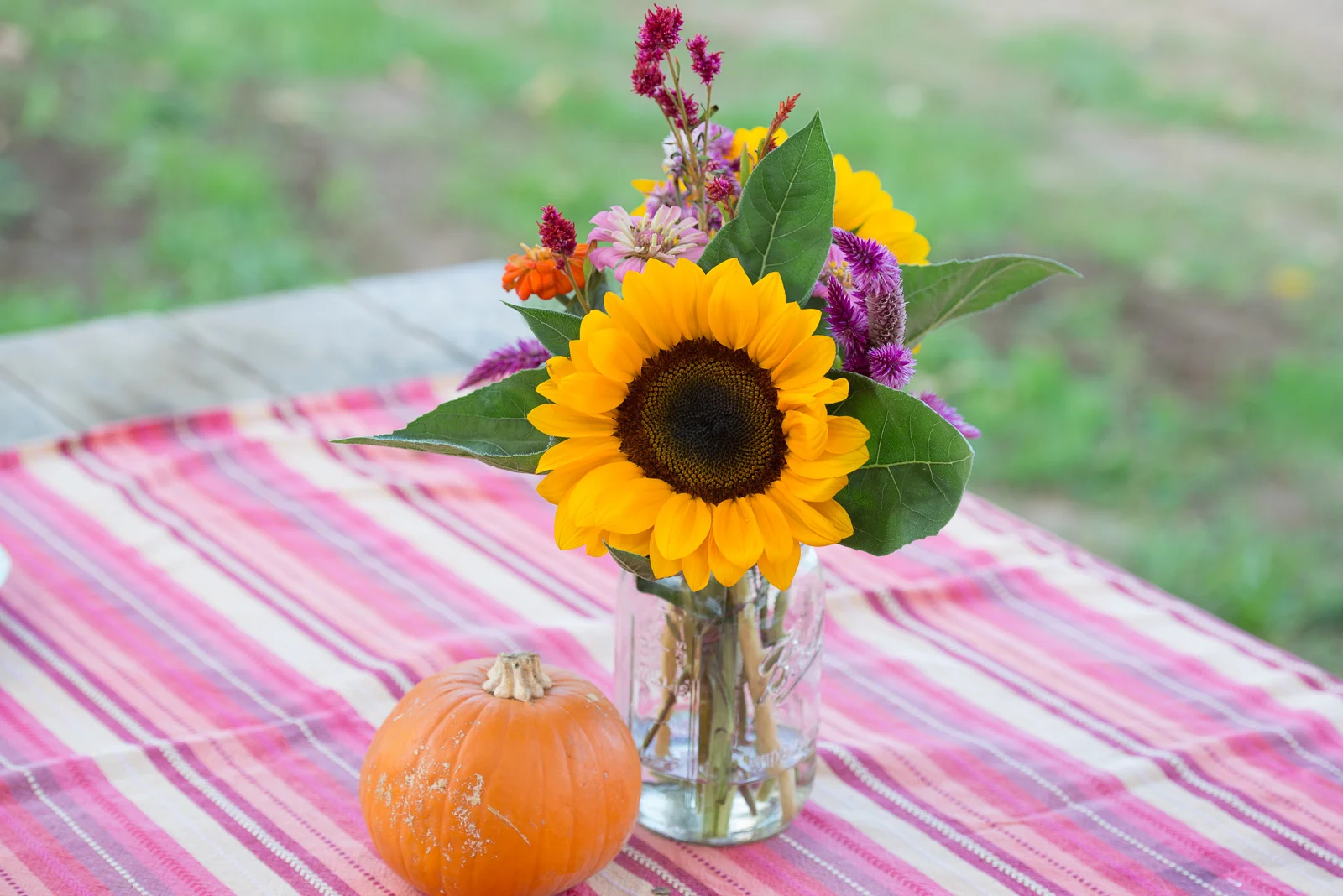 CSA — Riverdog Farm