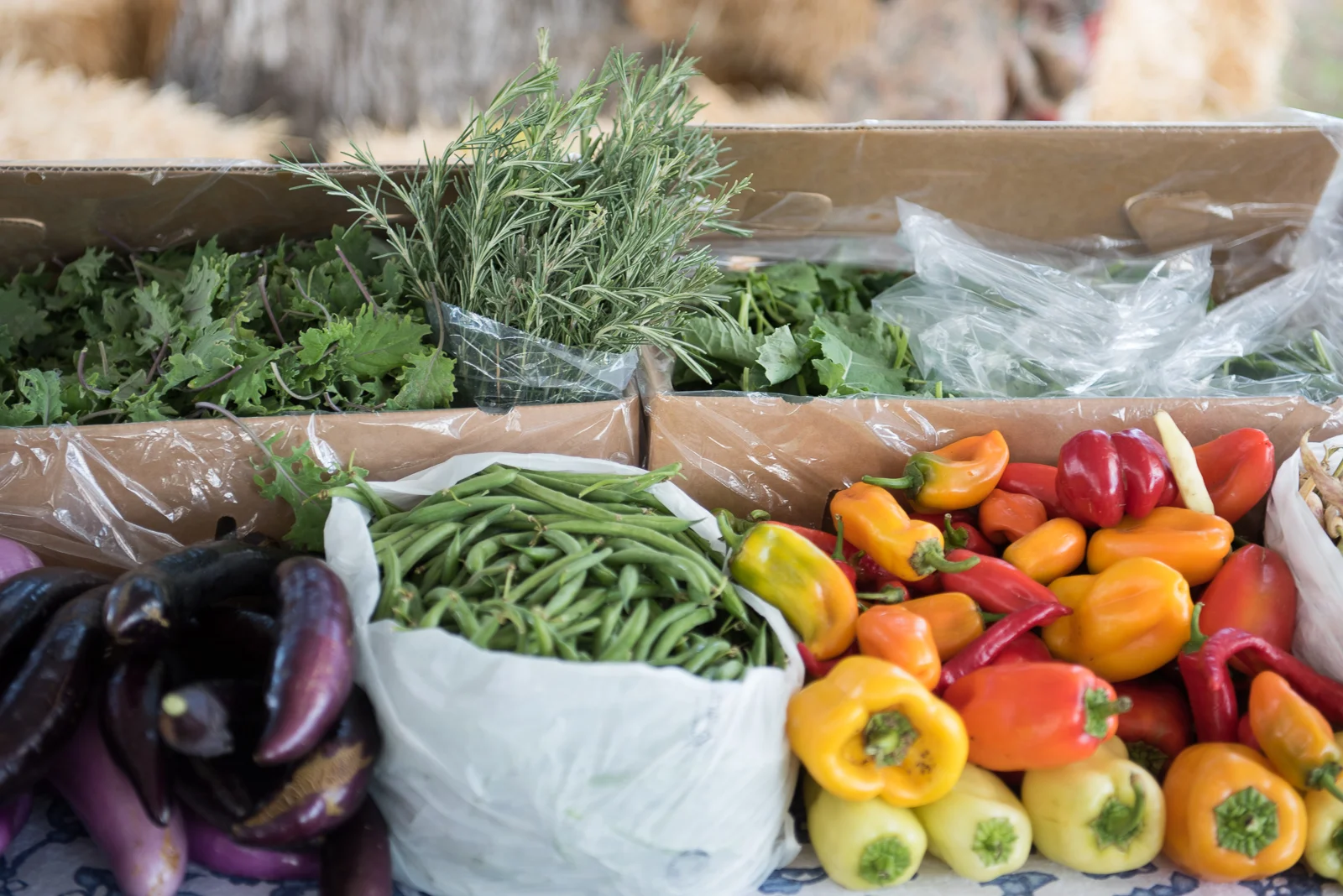 CSA — Riverdog Farm