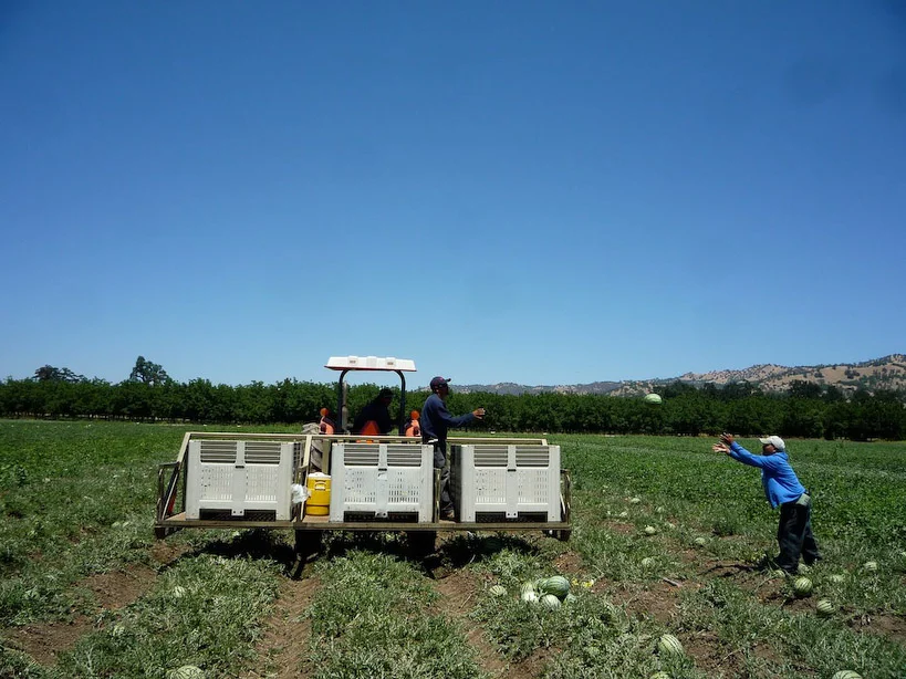 CSA — Riverdog Farm