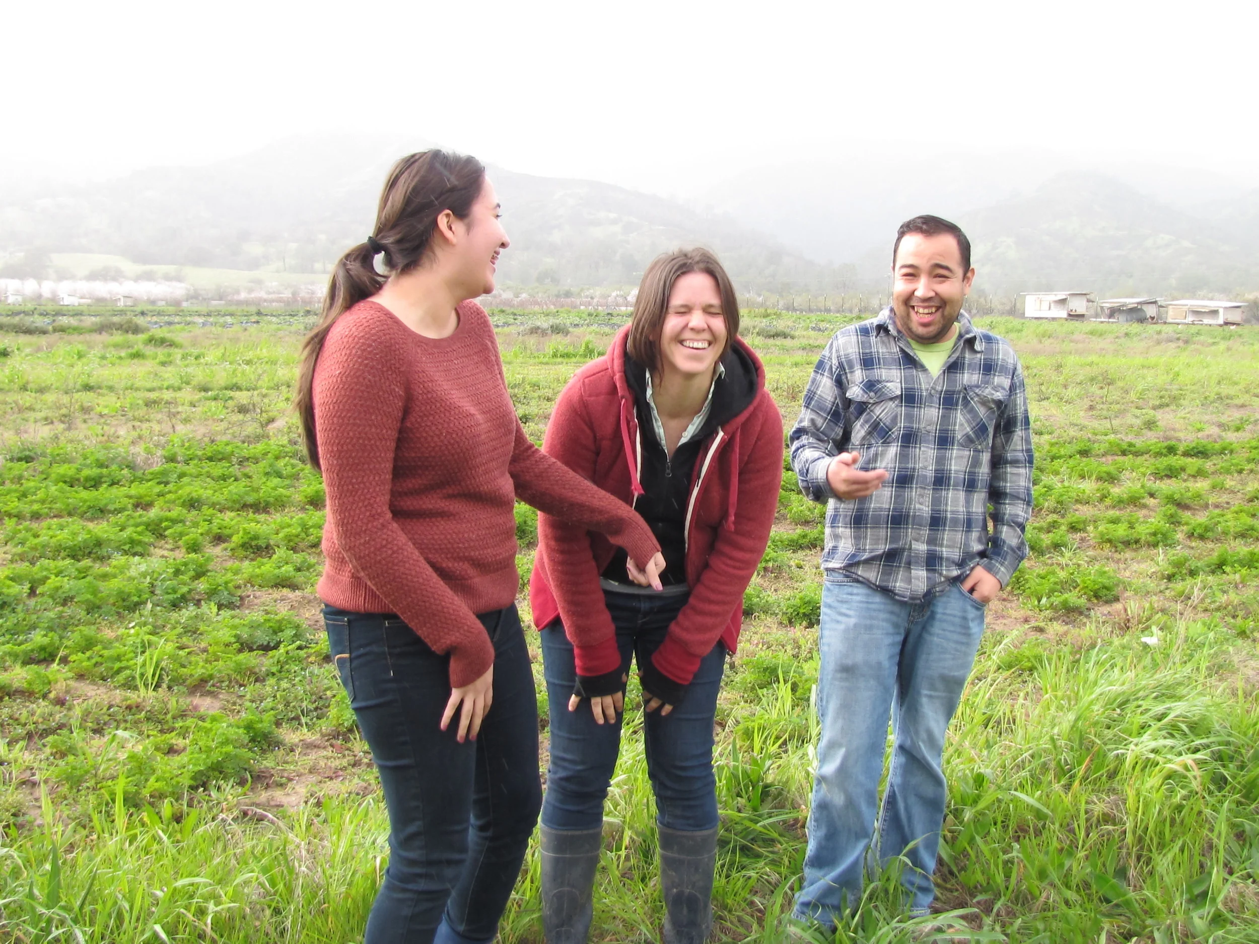 CSA — Riverdog Farm