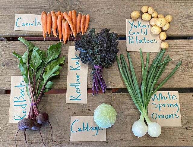 This weeks #csabox #carrots #yukon #gold #potatoes #whitespring #onions #redbor #kale #red #beets #cabbage #csa  #organiccsabox #organicveggiebox #riverdogfarmcsa #csalife #csalove #eatlocal #farmtofork #farmtotable #knowyourfarmerknowyourfood #veget