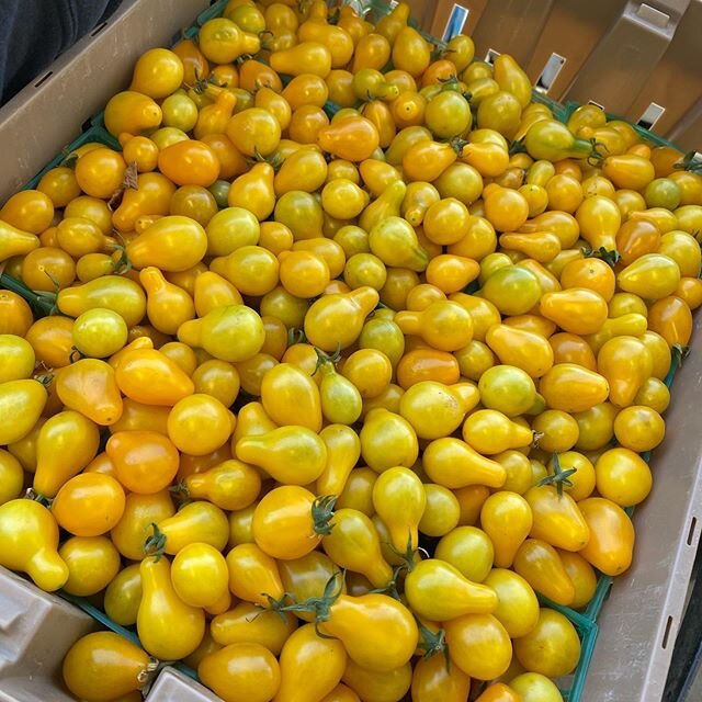 Yellow #pear #cherry #tomatoes