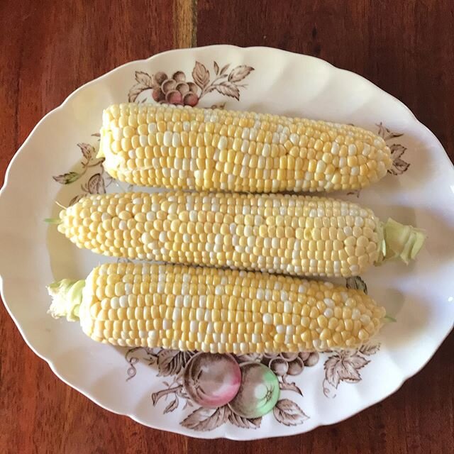 Earliest #sweet #corn ever Available this week at our farmers markets (Berkeley and Sac), in the CSA veggie box and at the farm!