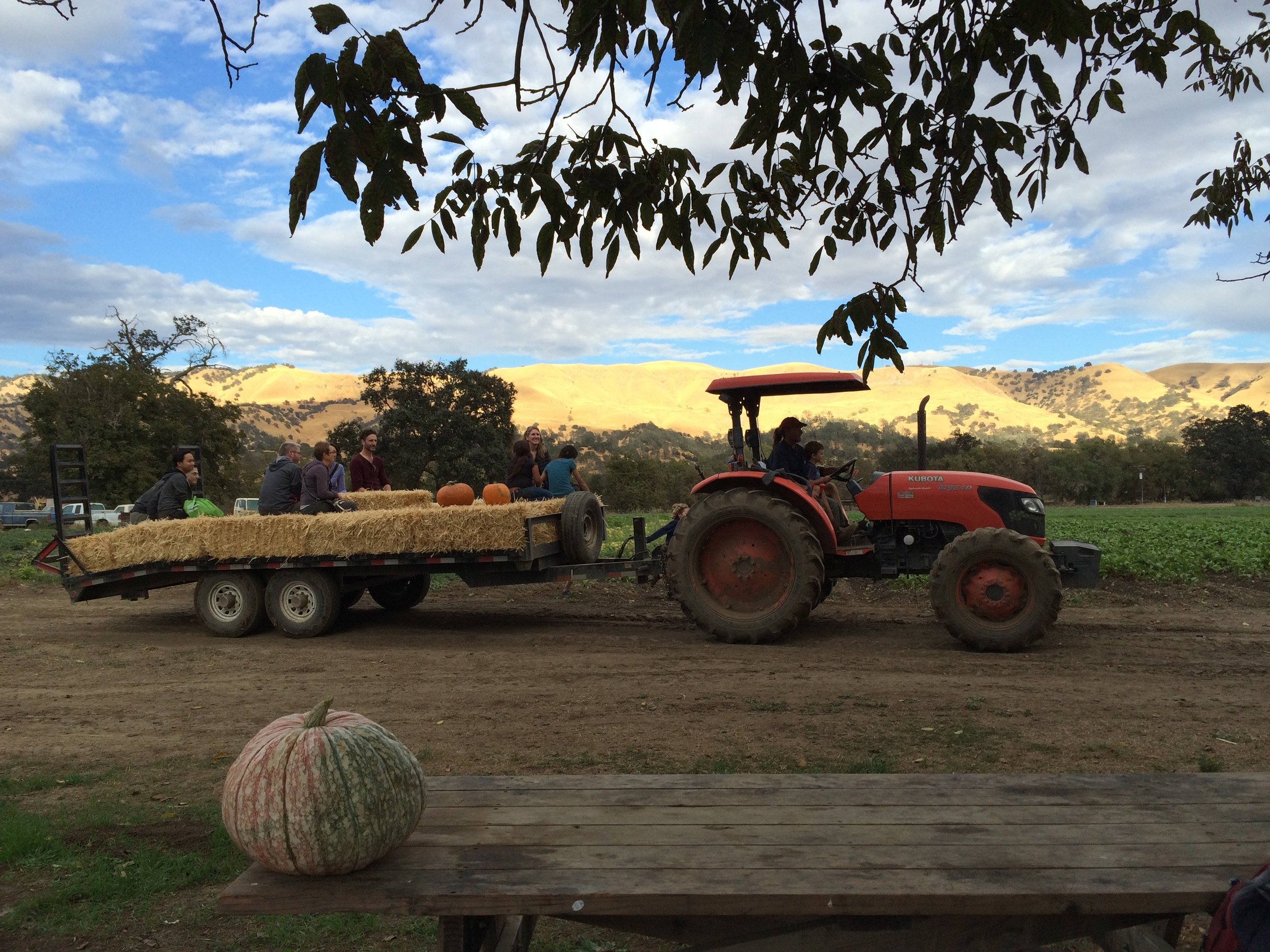 CSA — Riverdog Farm