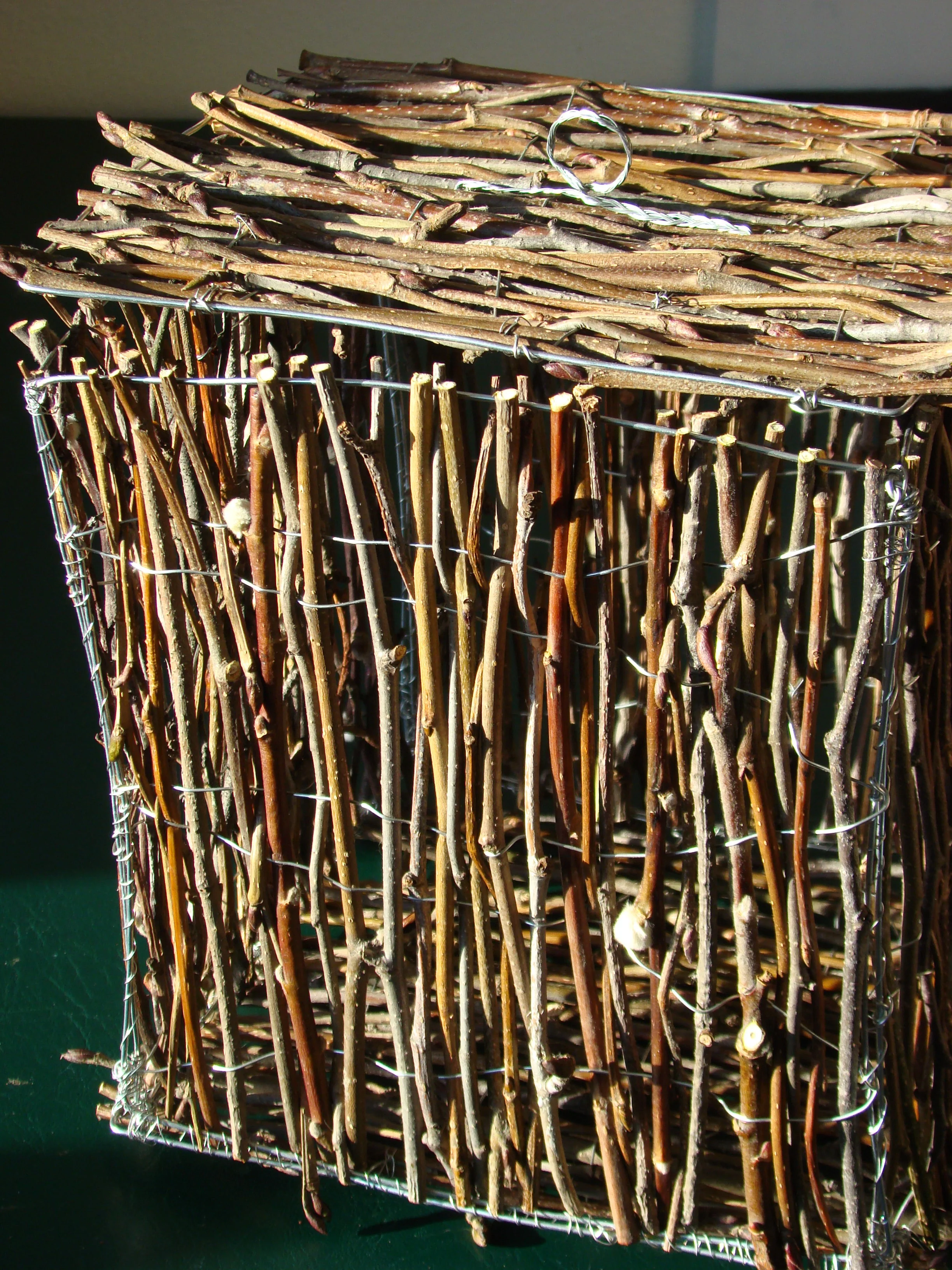 Twig Box.2008.JPG
