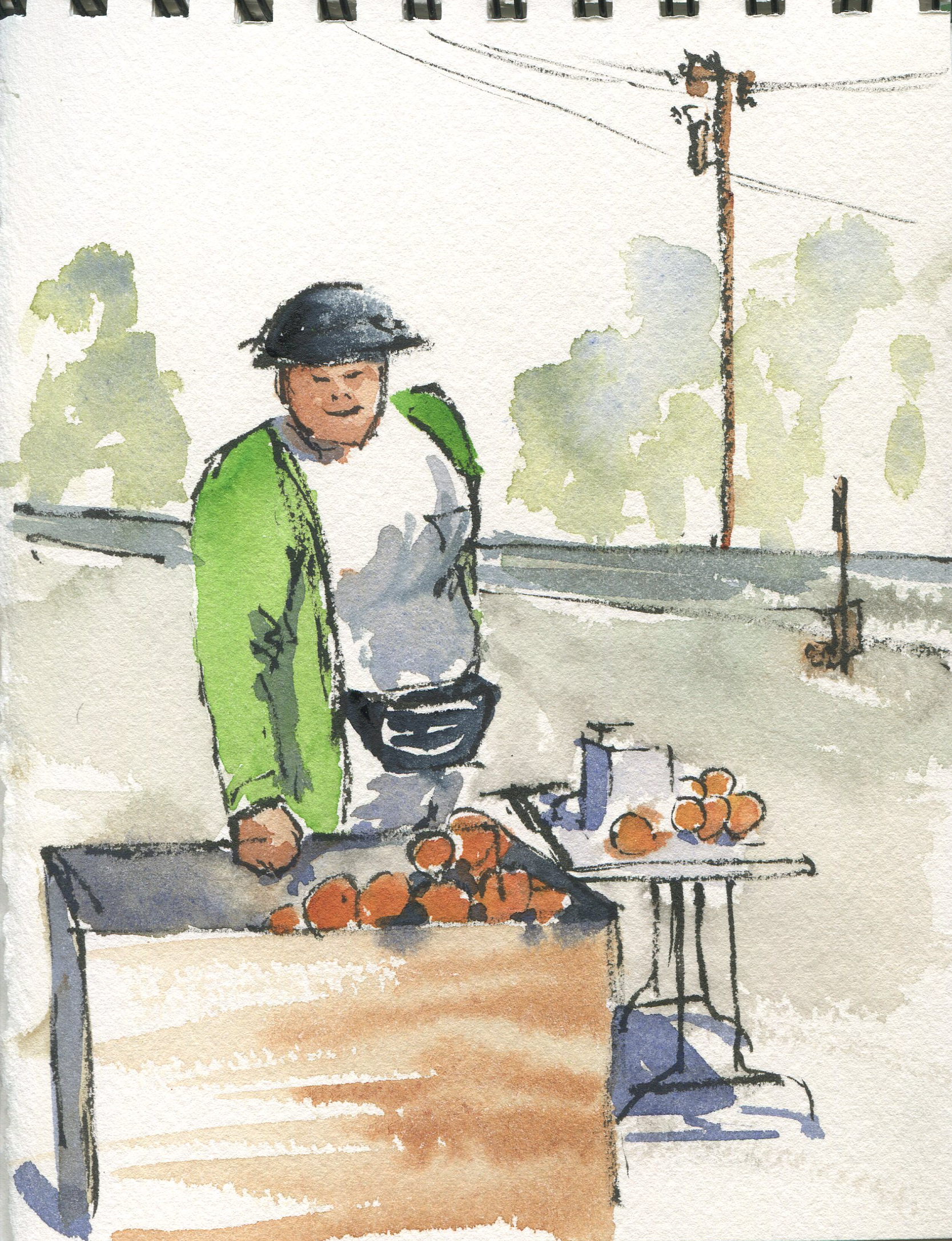 The lady selling oranges at the grove