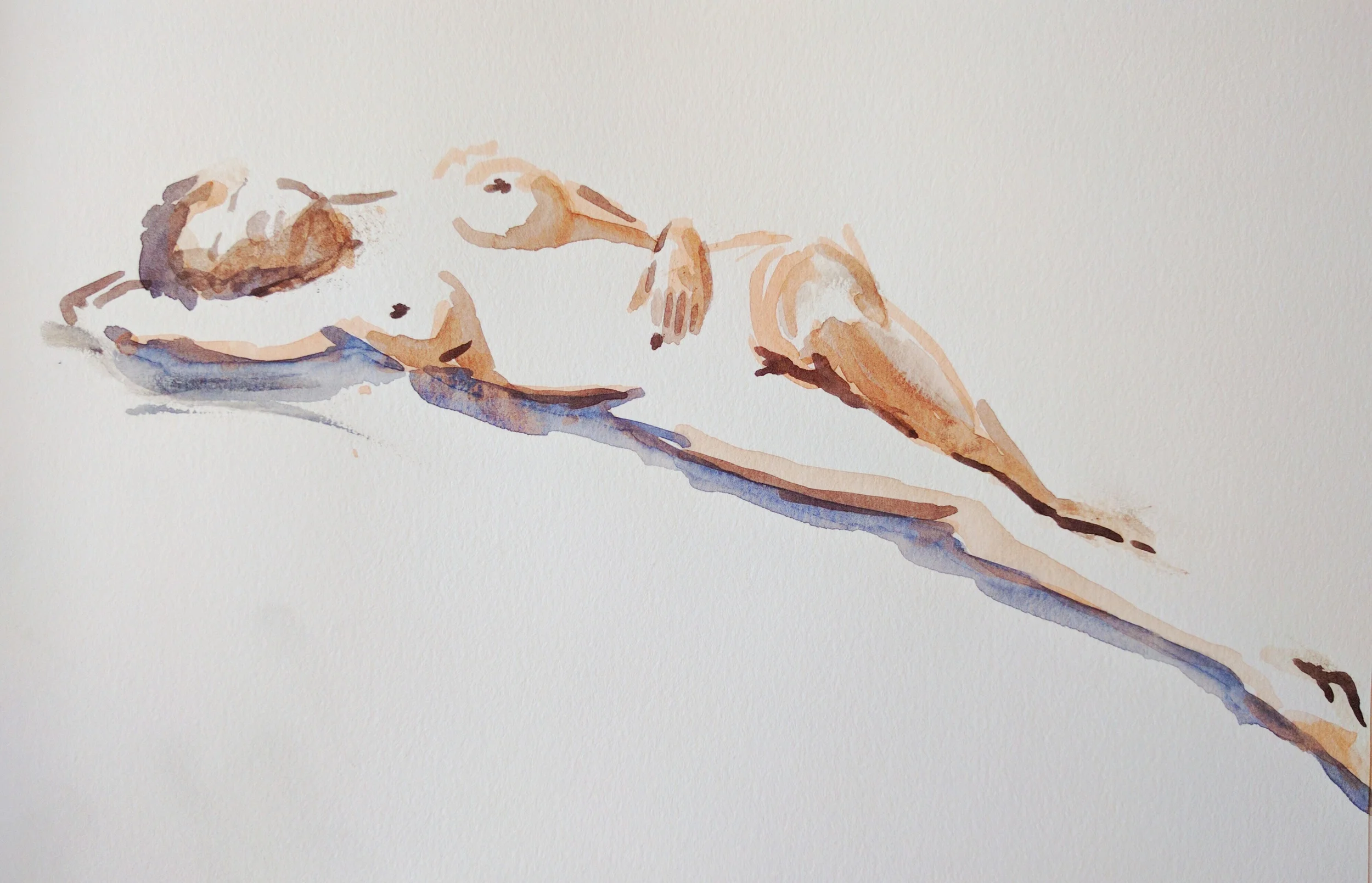 watercolor gesture sketch