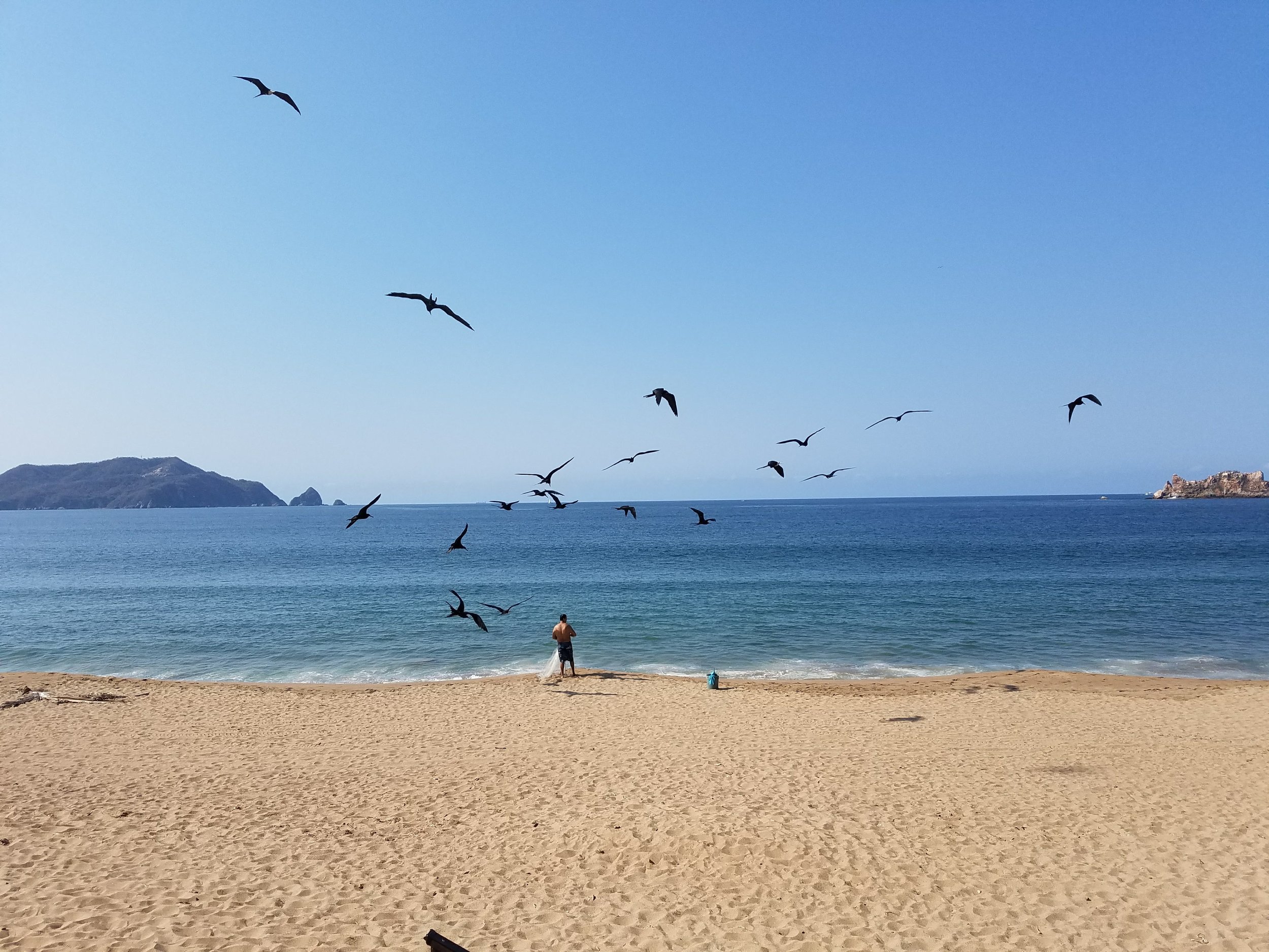 View of the beach from La Paloma. Man feeding his catch to the birds.