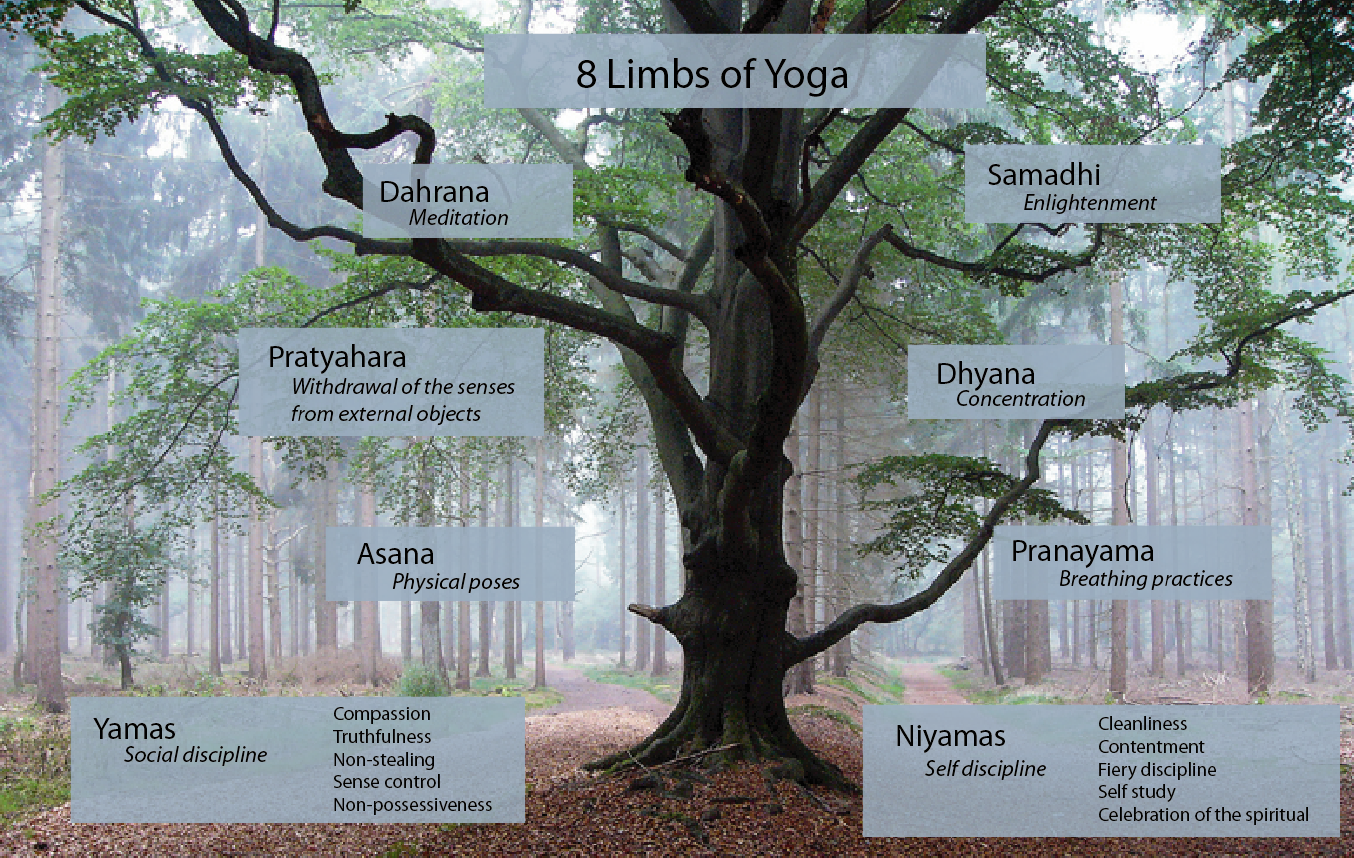 8Limbs11.png
