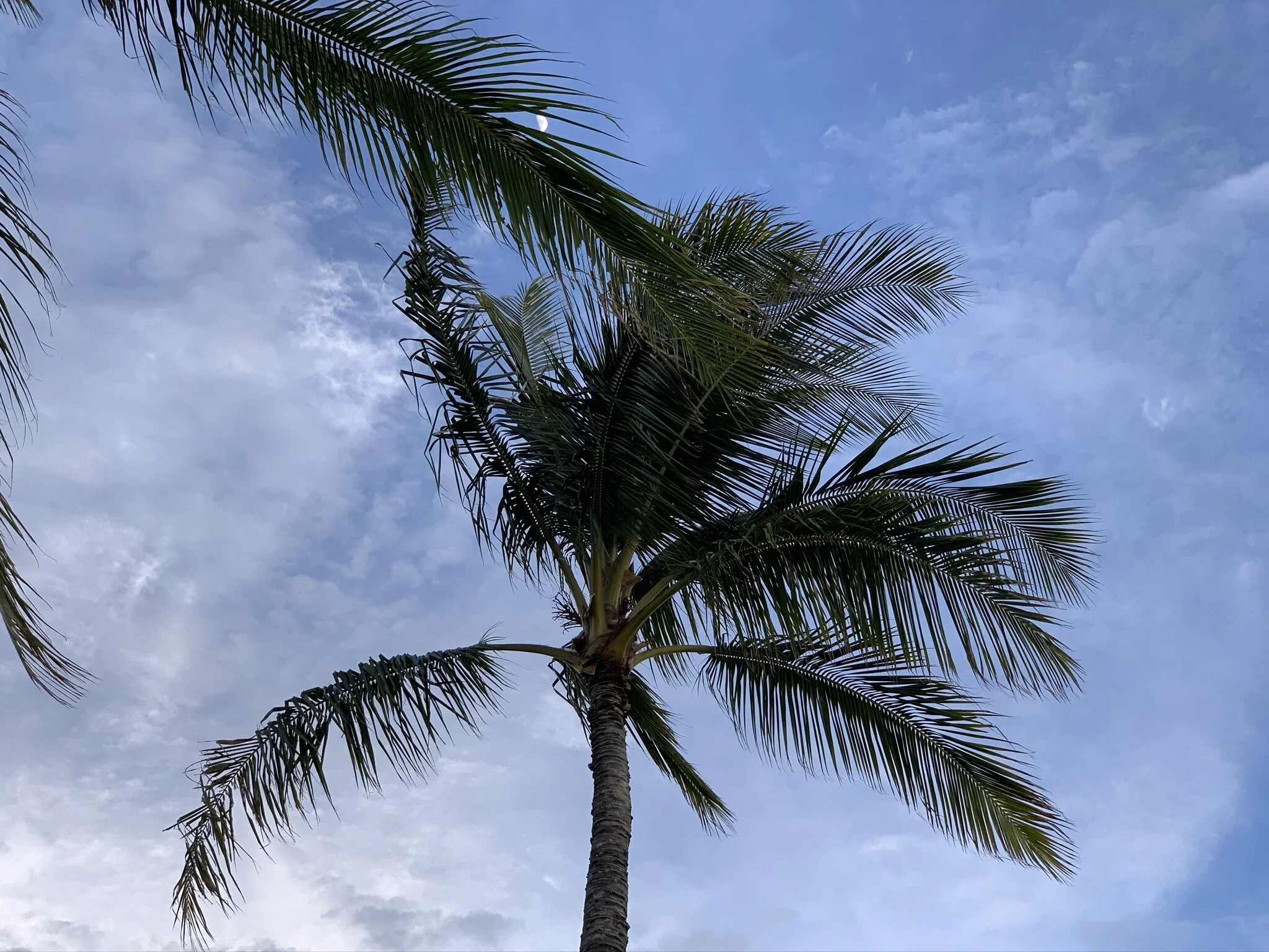 Identifying "'Stinkin Thinkin'" #7