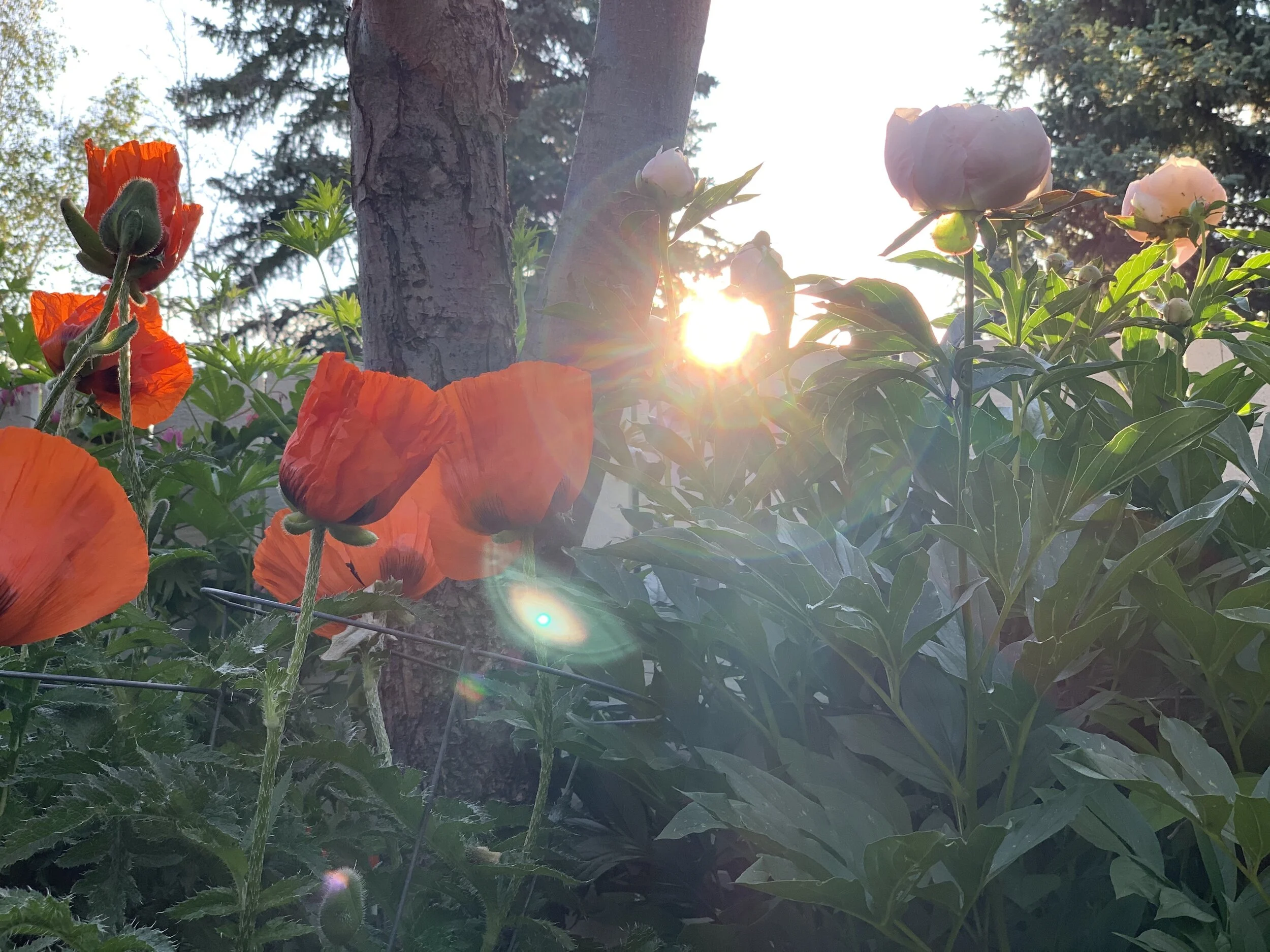 Gifts of Sobriety - Wholeness