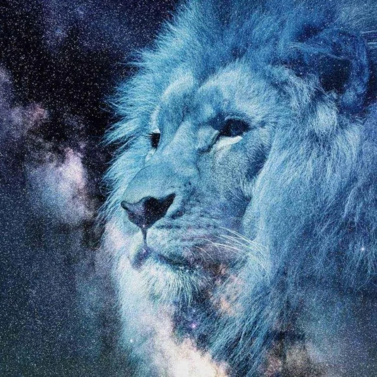 Lion's Gate Portal 8/8 - A treasure for this Life Coach
