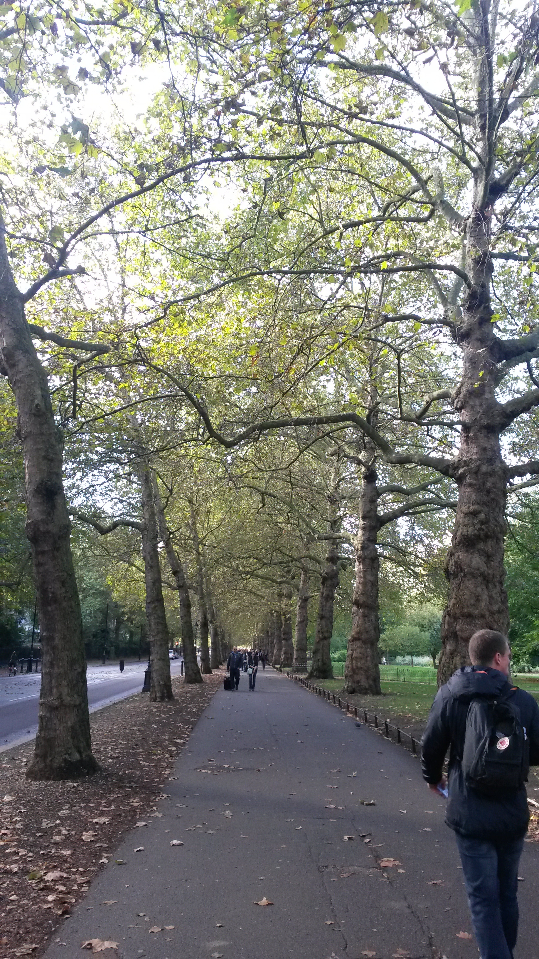20161016_090345.jpg
