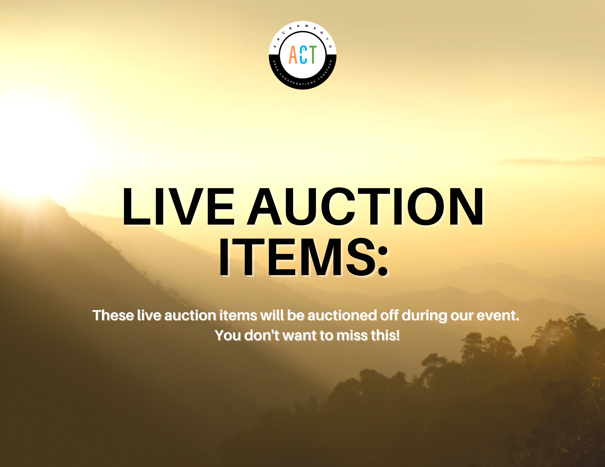 19.Live auction title page.png