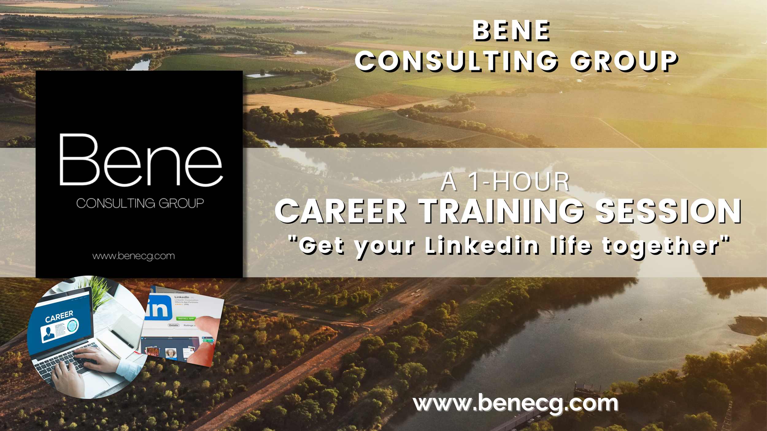 Silent Auction- Bene Consulting Group-1 Hour Consultation.png