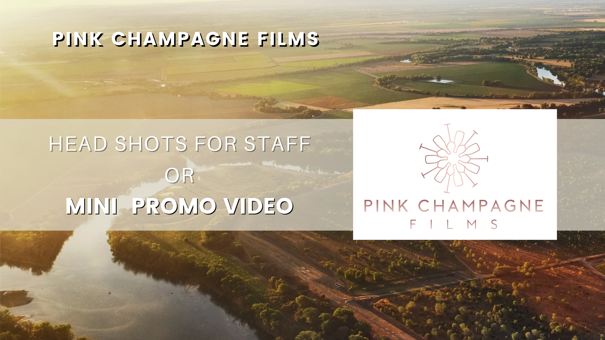 Silent Auction- Pink Champagne Films-Head shots or video.png