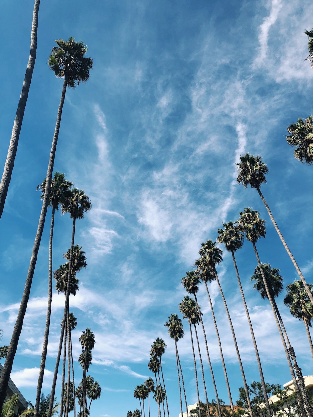 Santa Monica Neighborhood