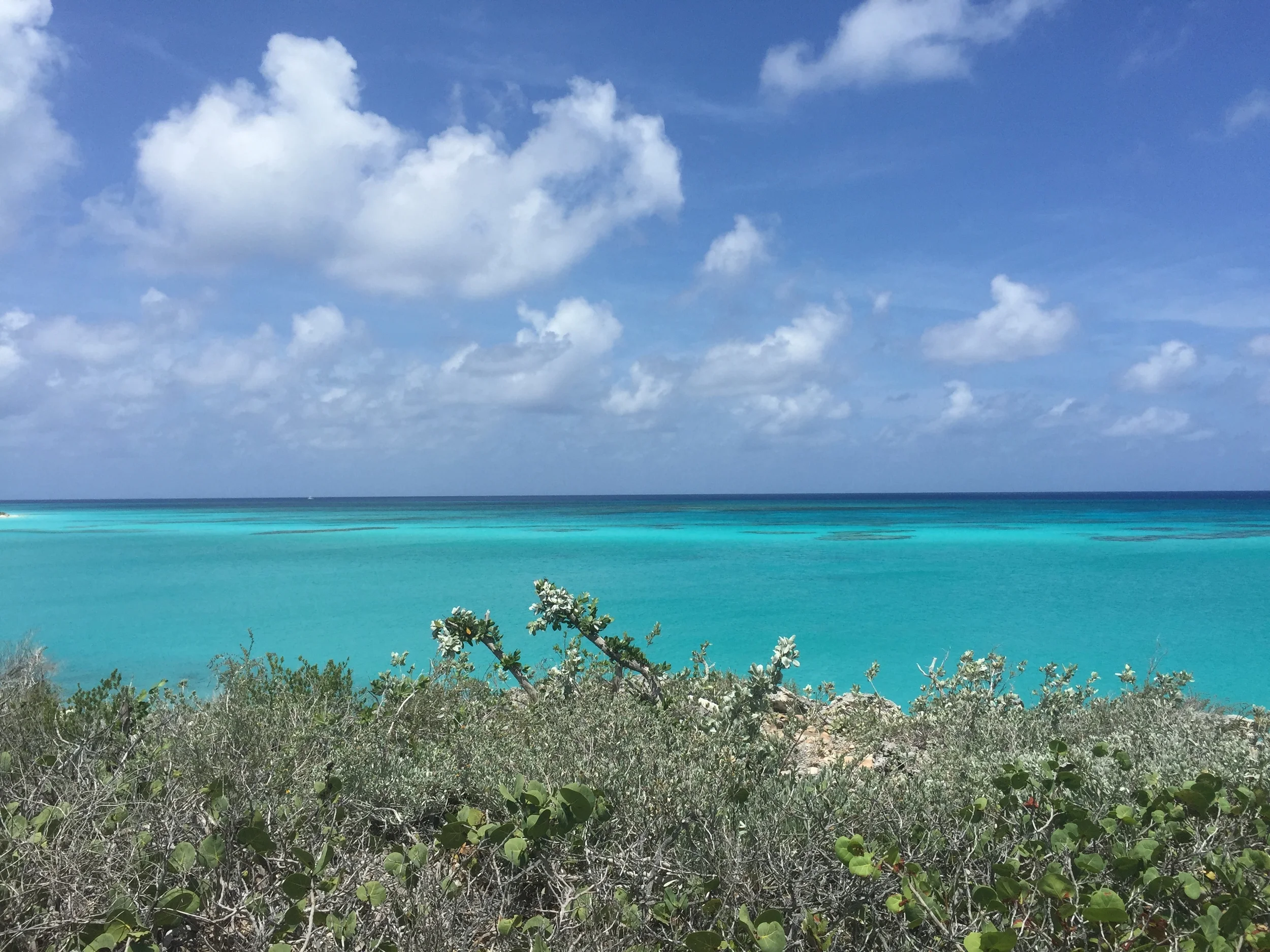 ConchQuest, Columbus Landing, San Salvador Island, The Bahamas