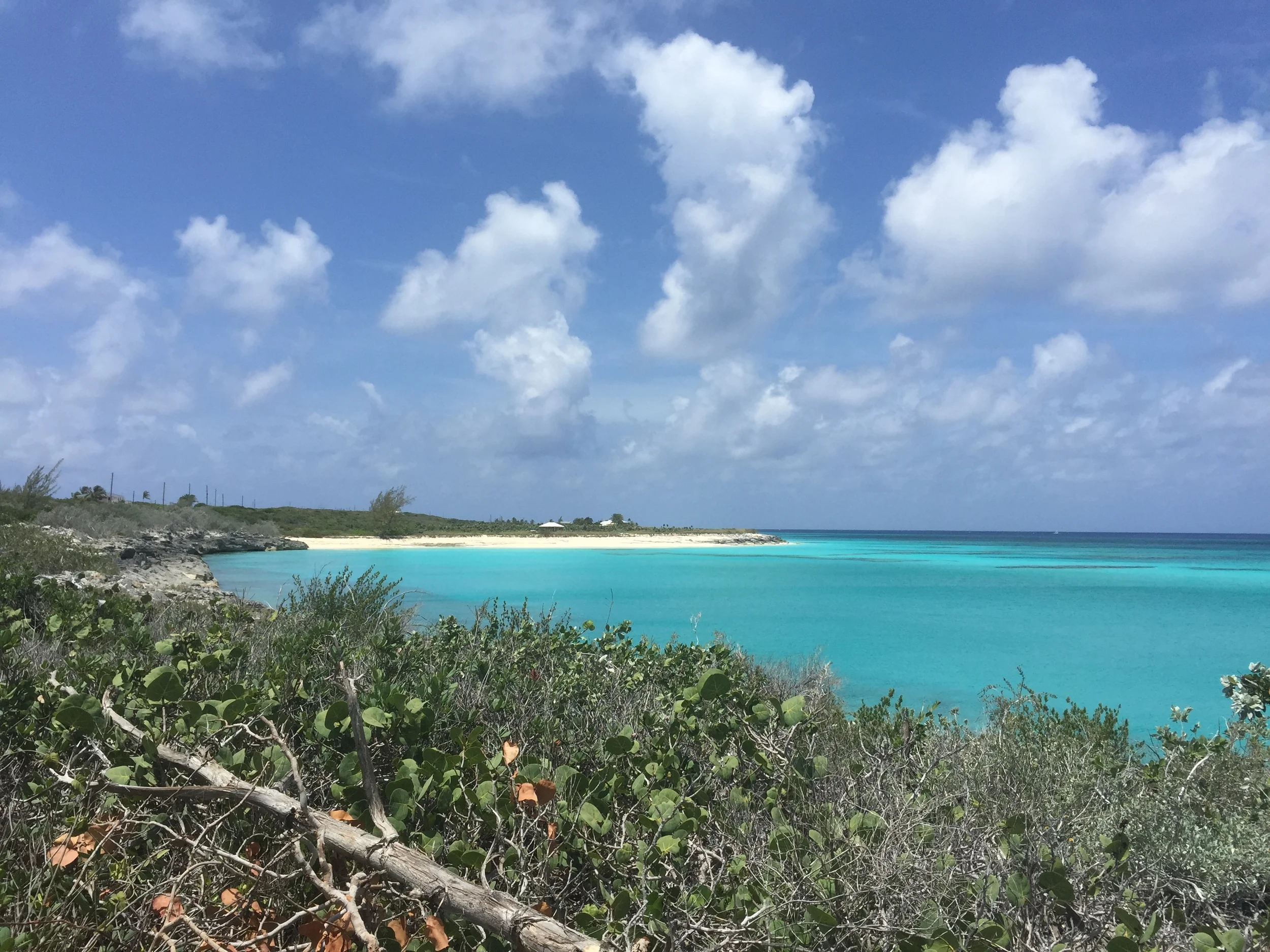 ConchQuest's view of Grotto Beach, San Salvaldor Island, The Bahamas