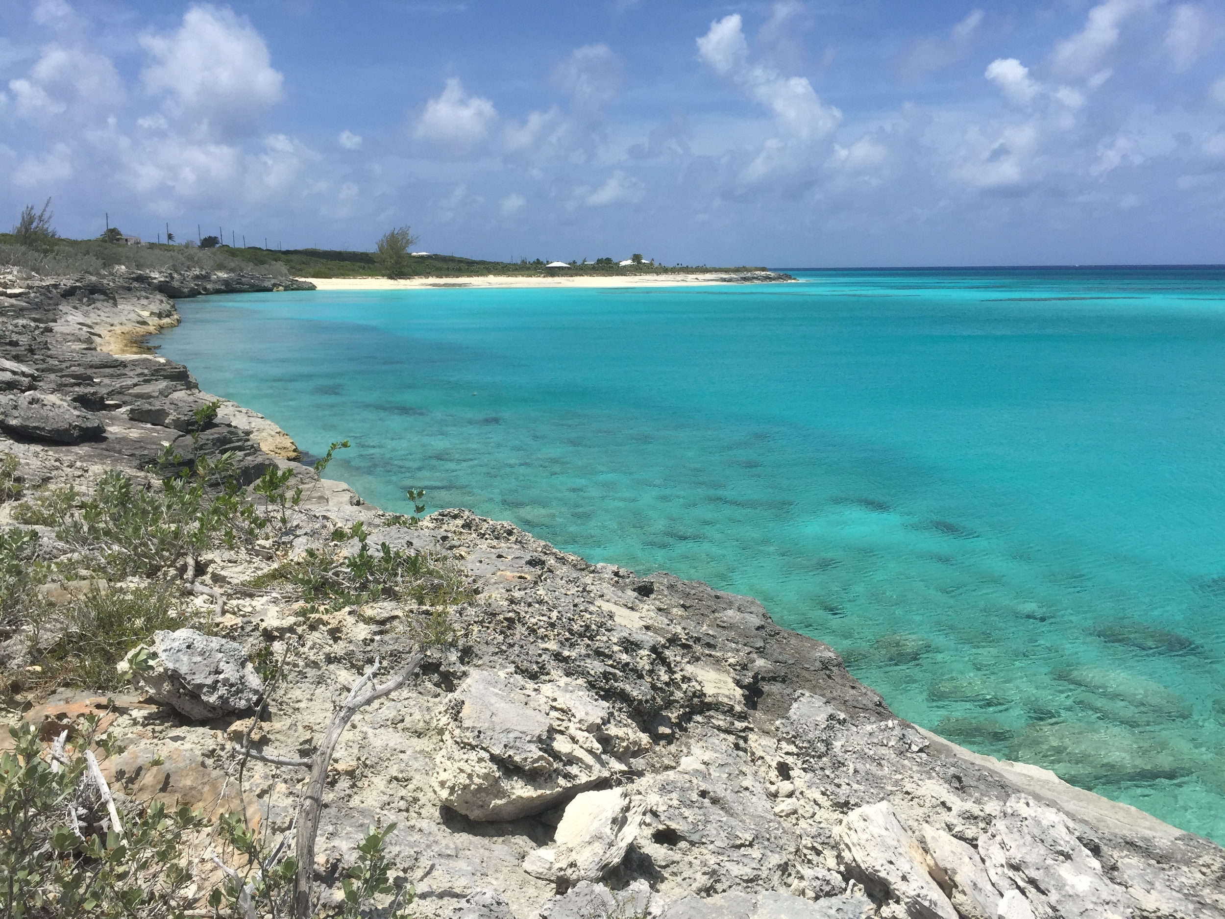 ConchQuest's rocky shoreline, San Salvador Island, The Bahamas