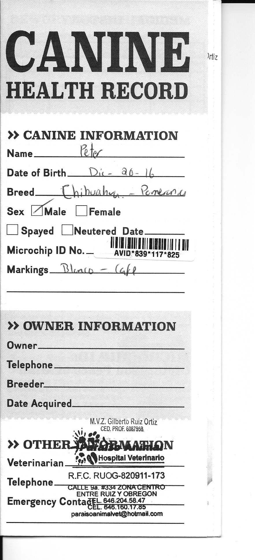  Confused, I asked Alondra which one was correct, she herself seemed shocked and laughed at the mislabeling but said he was around 10-11 weeks old.  Another thing that caught my attention was that his health records were all in Spanish. I'll address 