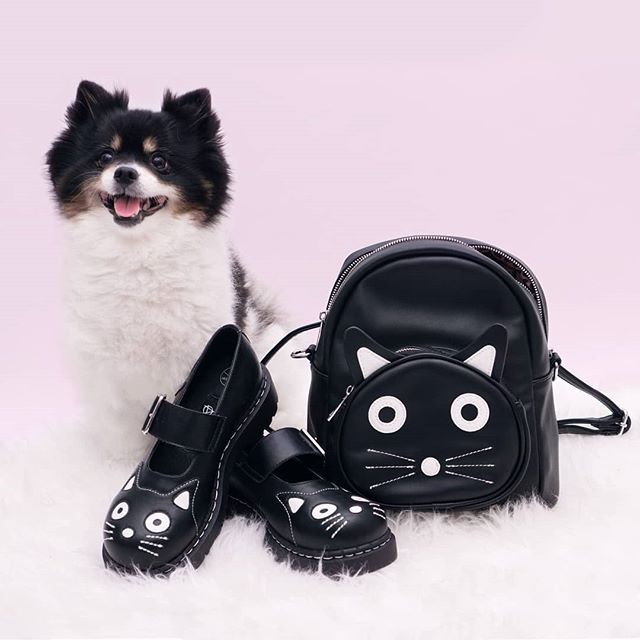 Even though Layla is a dog, she's still down for some #MeowMonday with these @TUK_FOOTWEAR Kitty Face MJs and backpack. Seriously, how freakin' cute are these?! 😻🐈 #TUKSHOES