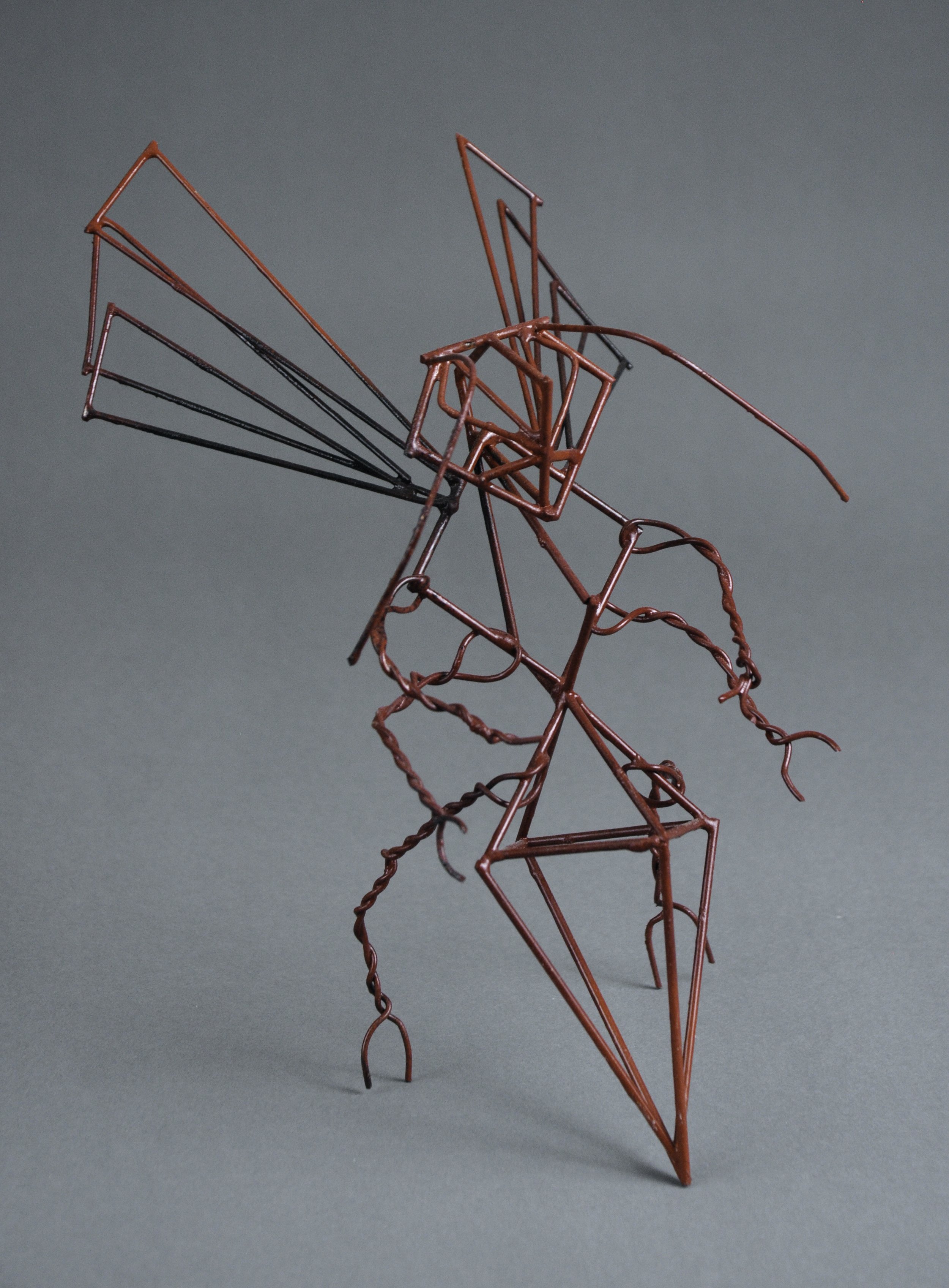 Insect in Wire