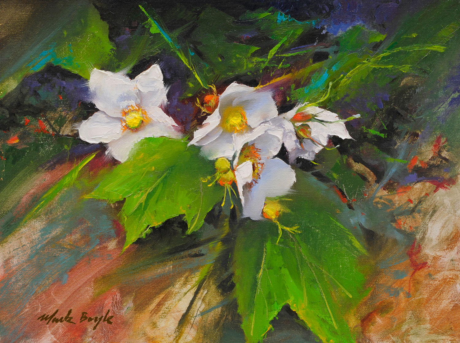 "Thimble Berry Flowers"