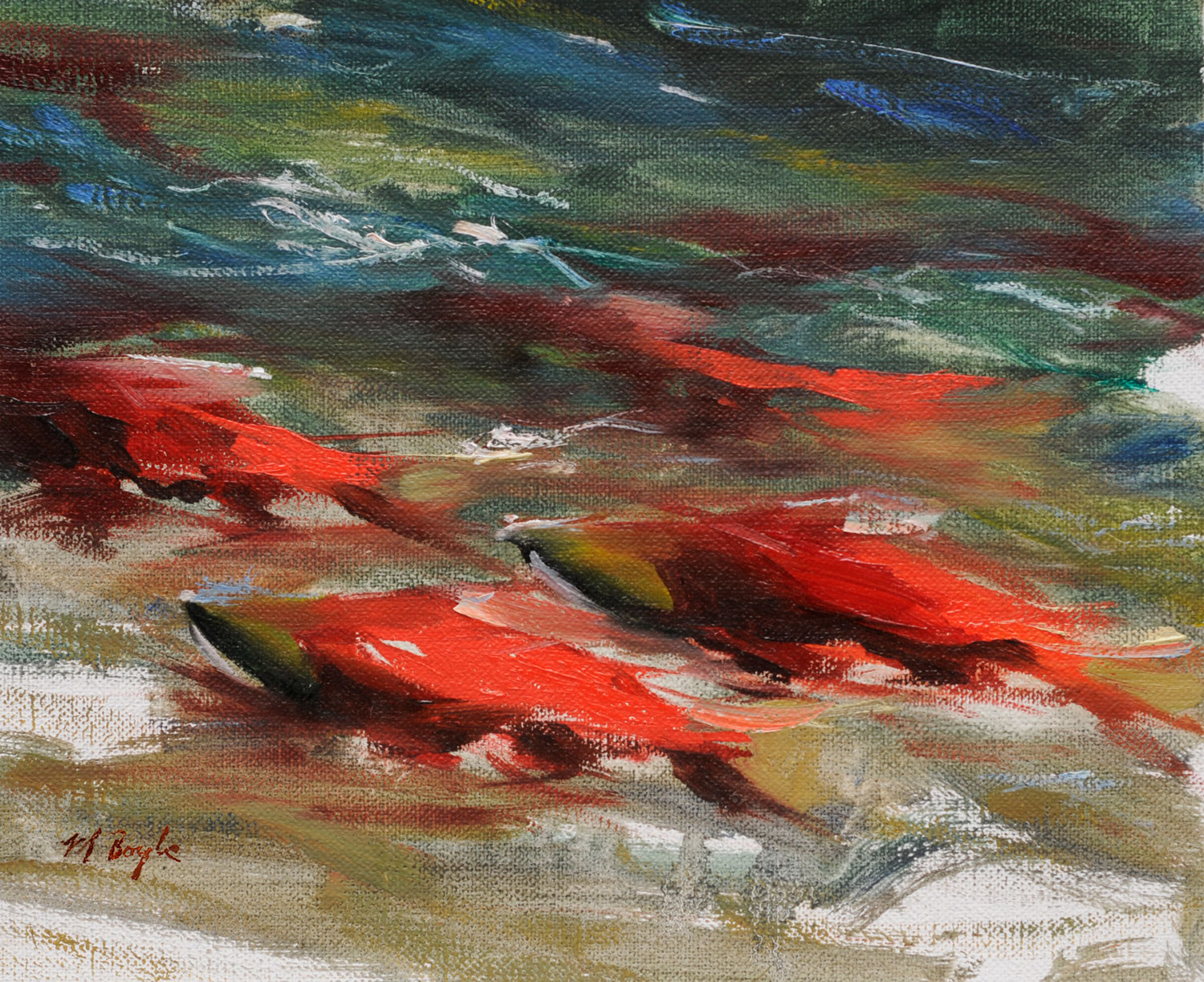 "SOCKEYE STUDY"