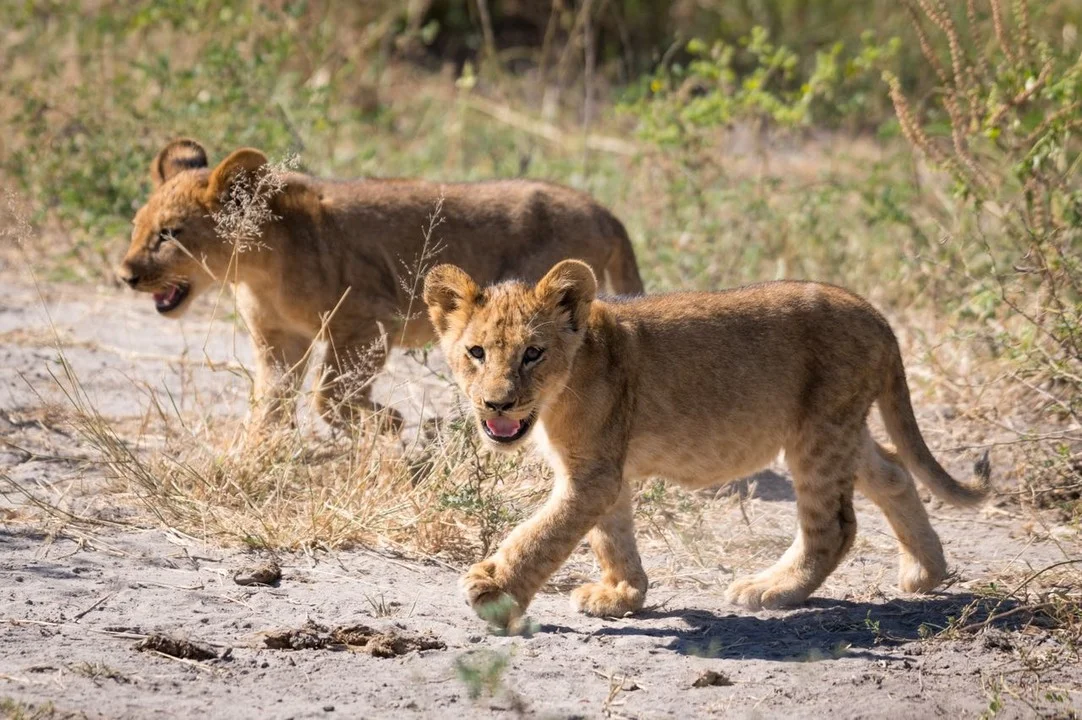 Reise durch Süd- und Ostafrika - Teil 1