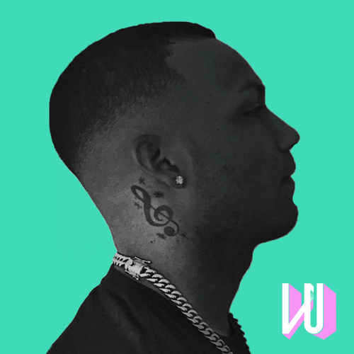 LU_cover_design.gif