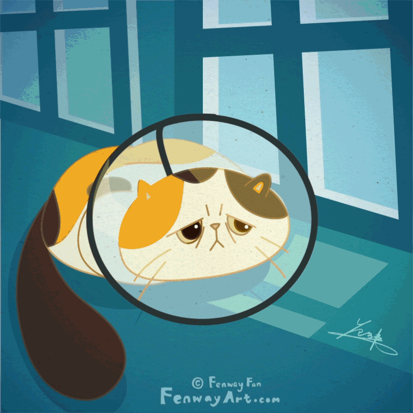 Cat Pin.gif