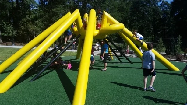 spider3.jpg