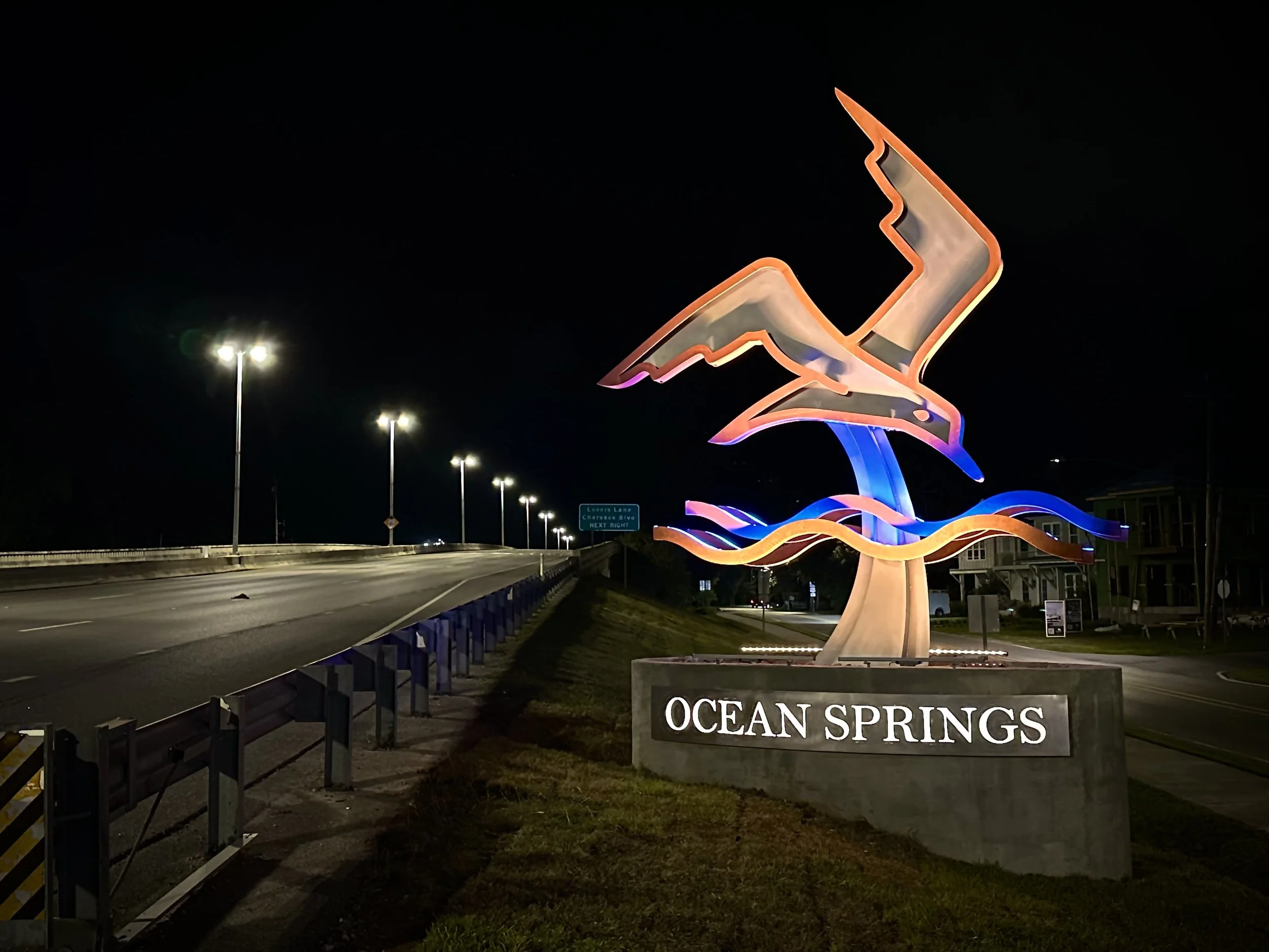 shorebird-night.jpg