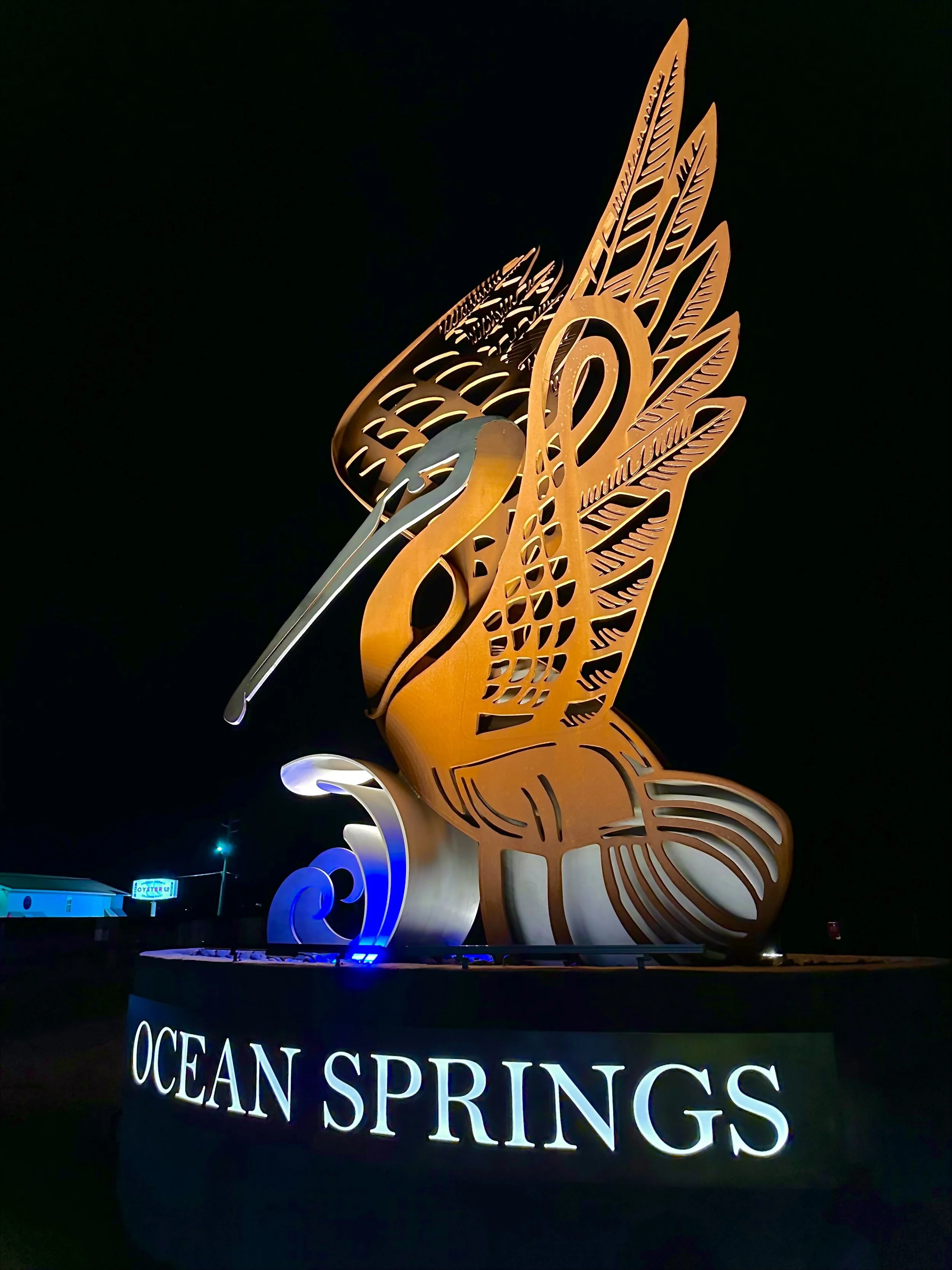 Brown Pelican-night.jpg