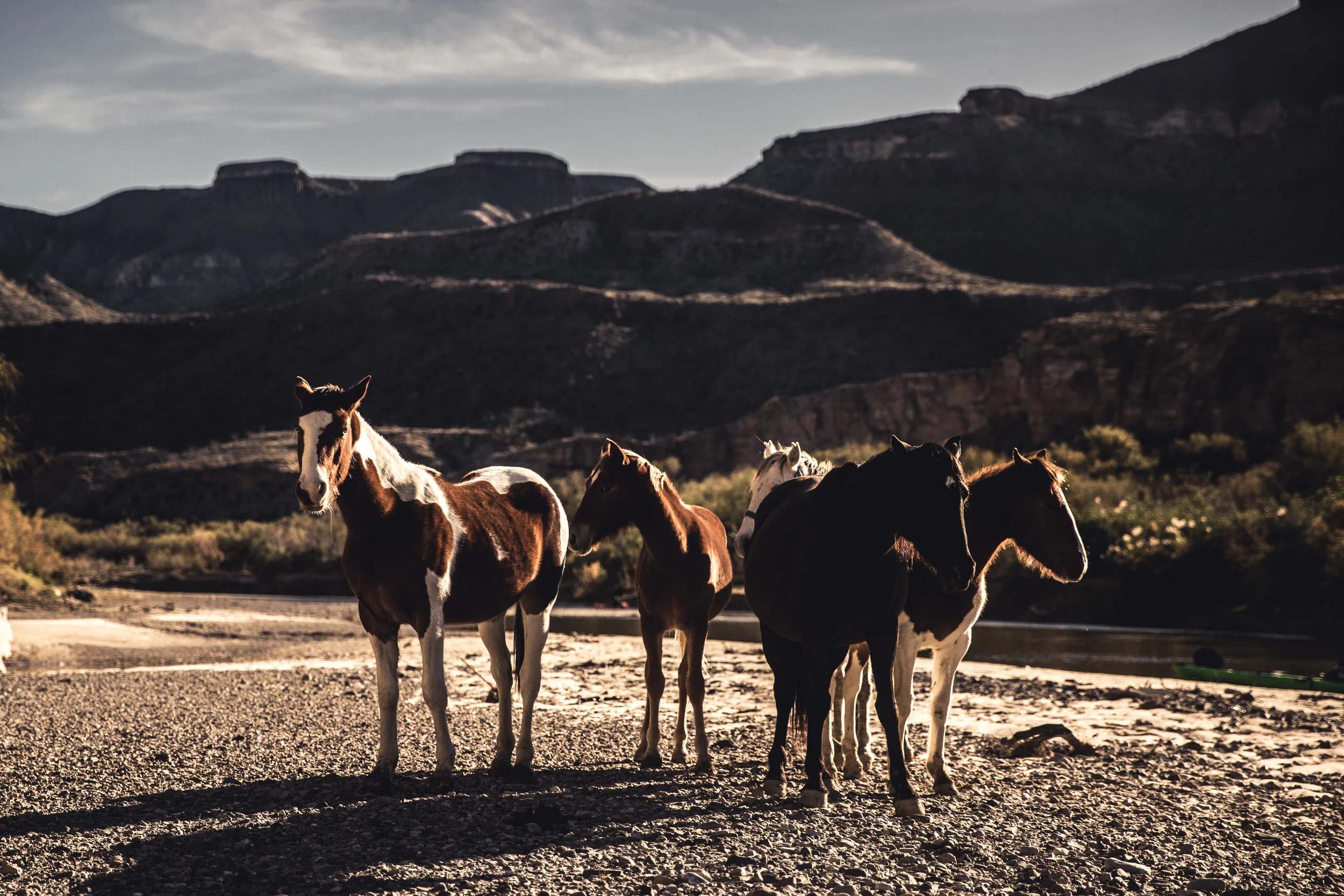 bigbendhorses.jpg